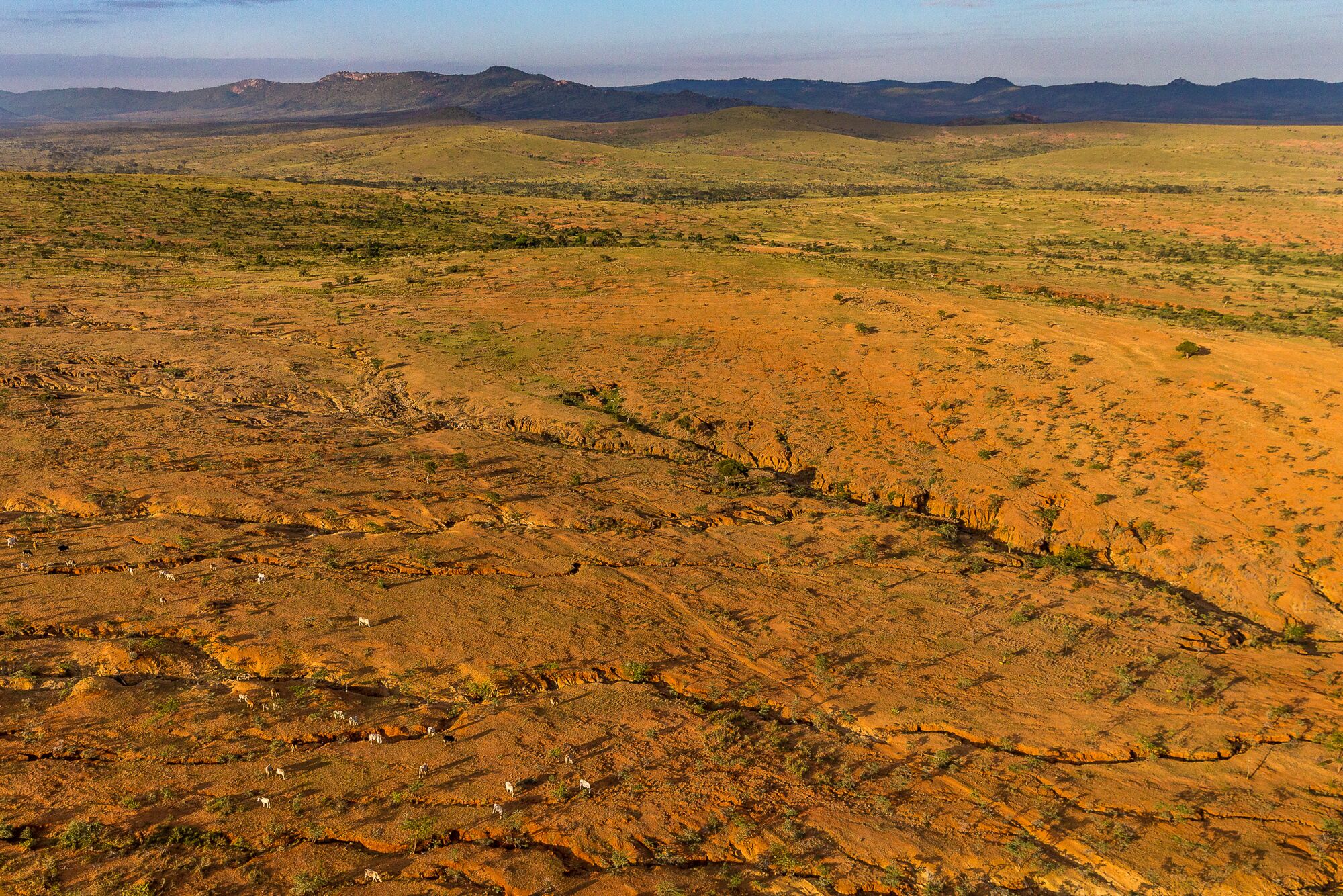 Decades of drought and land degradation have led to dry, compacted soil across large swathes of northern Kenya.