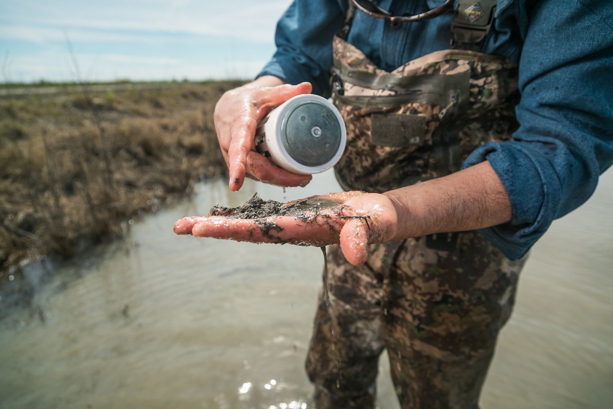 Jacob Katz examines the contents of a siphon after collecting a water sample in a flooded rice field near the Sacramento River.