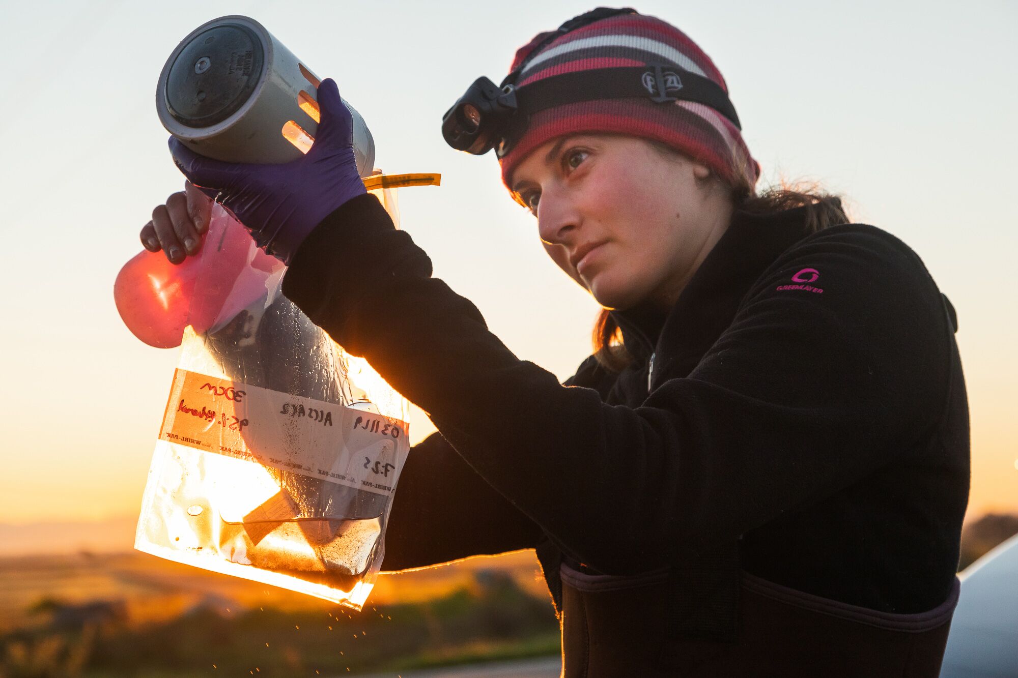 Jennifer Kronk from California Trout rinses the contents of a siphon into a specimen bag in order to measure the amount of zooplankton present.