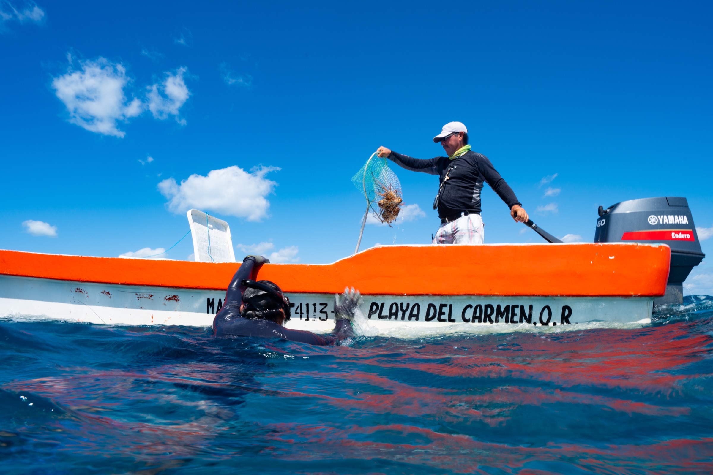 Magdiel Naal hands a net full of lobsters up to Emilio Pérez Mendoza. Photograph by Steve De Neef