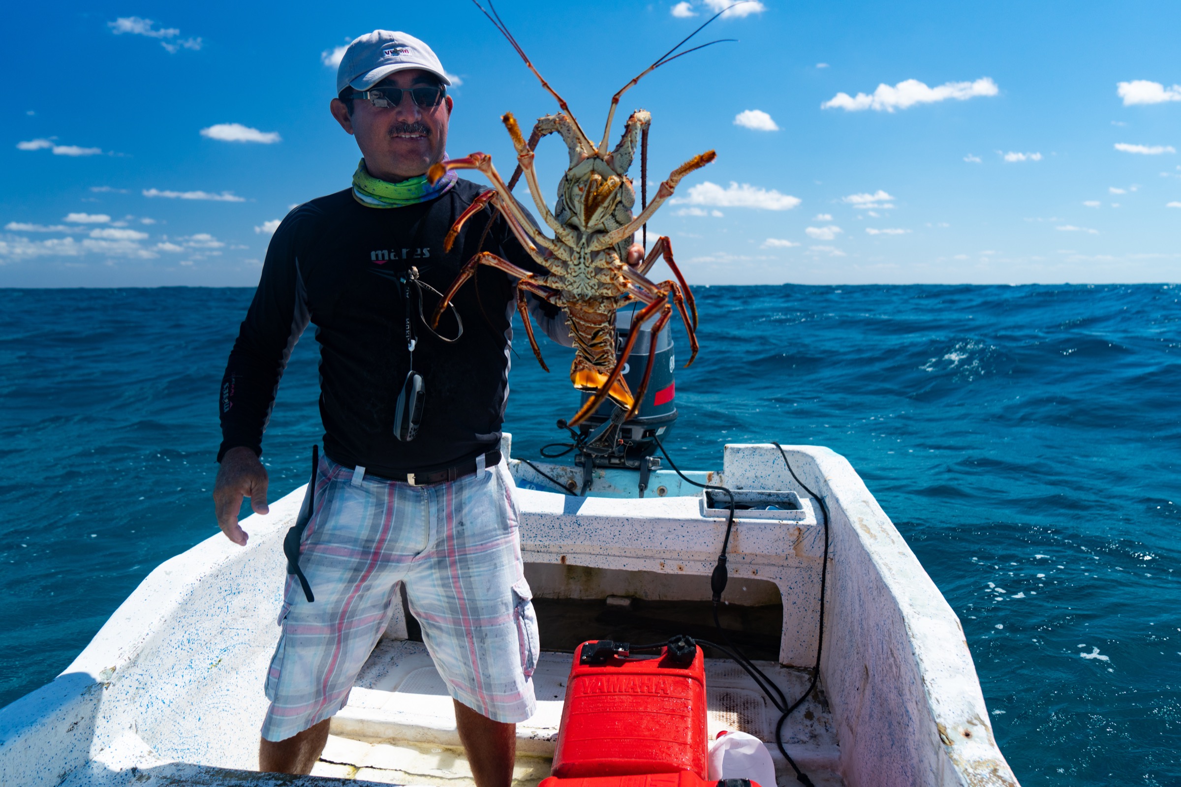 Emilio Pérez Mendoza shows off one of the Caribbean spiny lobsters his crew caught under a casita. Photograph by Steve De Neef