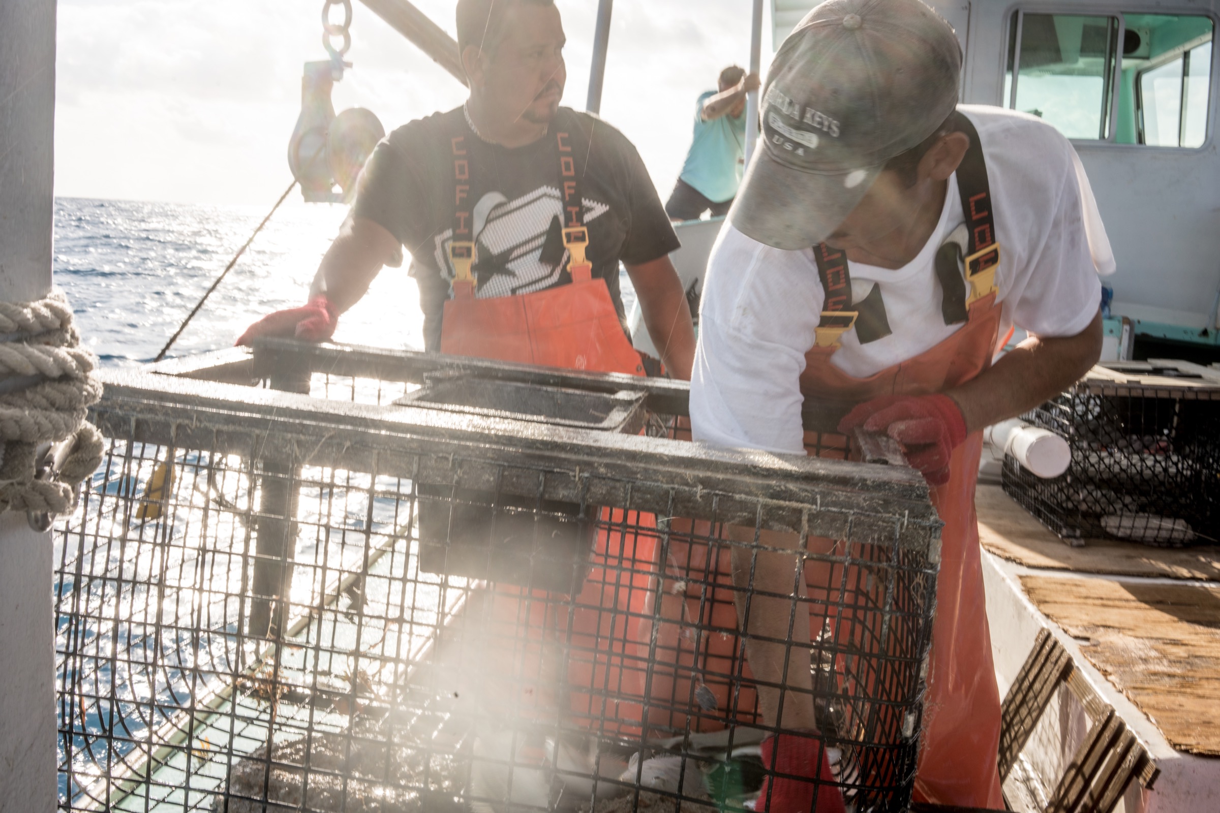 Lobster fishermen and researchers from the Florida Fish and Wildlife Conservation Commission conduct a study off the coast of Marathon, Florida. Photograph by Dominic Bracco II