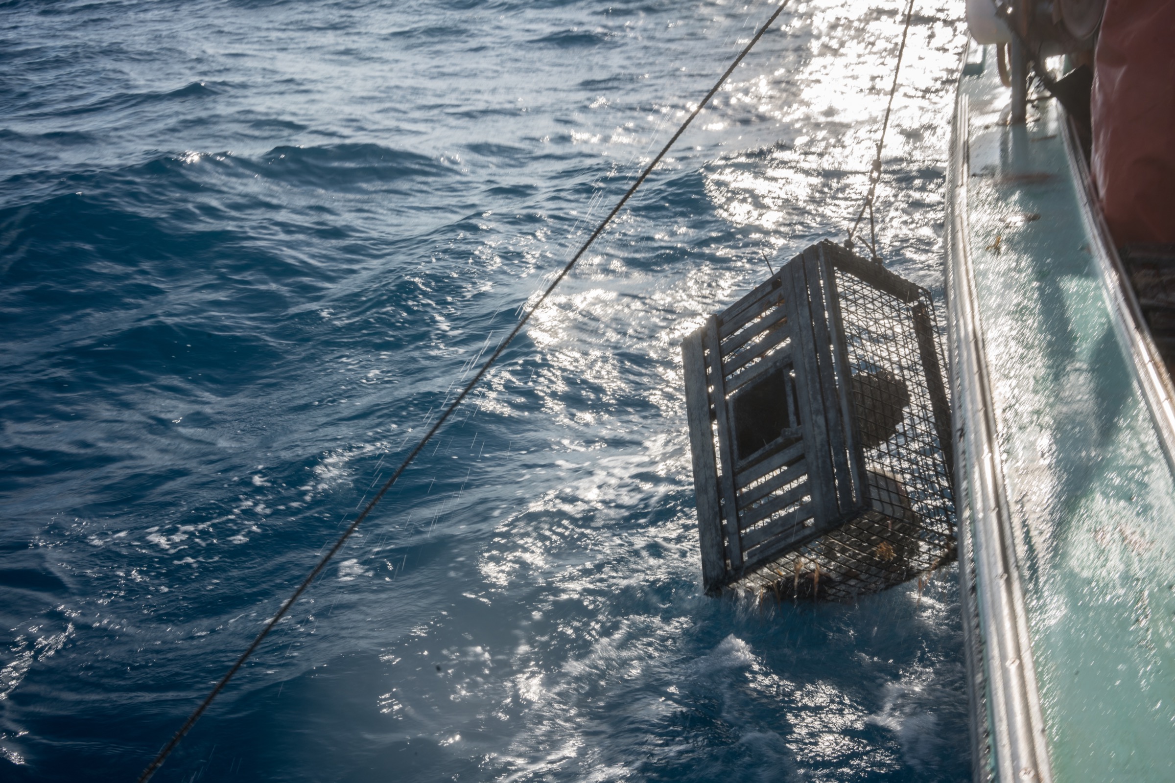 A lobster trap is lowered over the side of a lobster fishing vessel off Marathon, Florida. Photograph by Dominic Bracco II