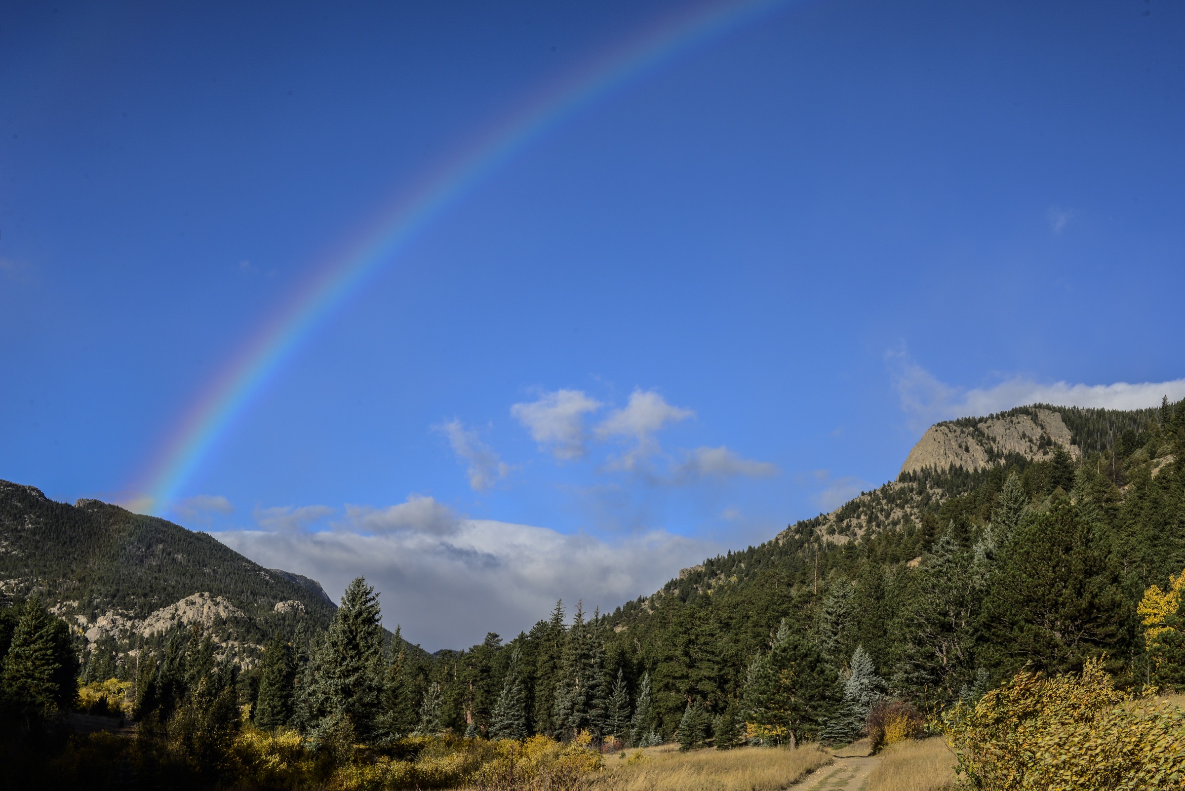 For decades, Colorado’s Rocky Mountain National Park has been atthe center of efforts to restore the greenback cutthroat trout (Oncorhynchus clarkii stomias) to its former range. Photograph by Lindsay Fendt