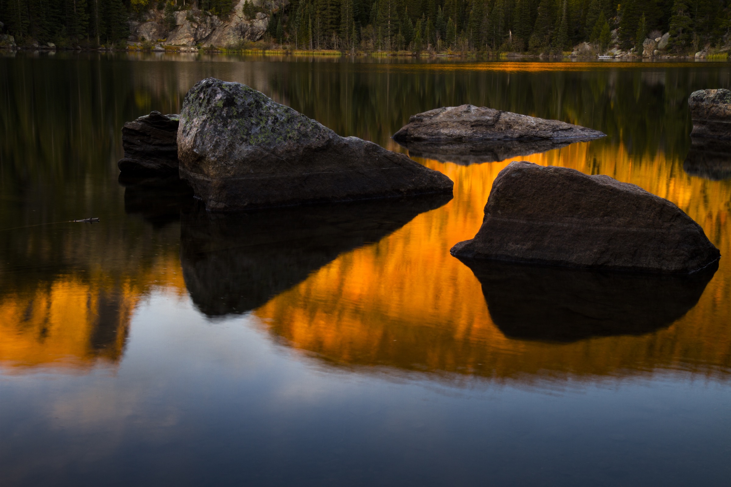 Streams and lakes across much of the greenback’srange have been hit hard by pollution, dams, sedimentation, and the introduction of non-native species. In contrast, Rocky Mountain National Park has provided a nearly pristine setting for restoration efforts. Photograph by William Hughes