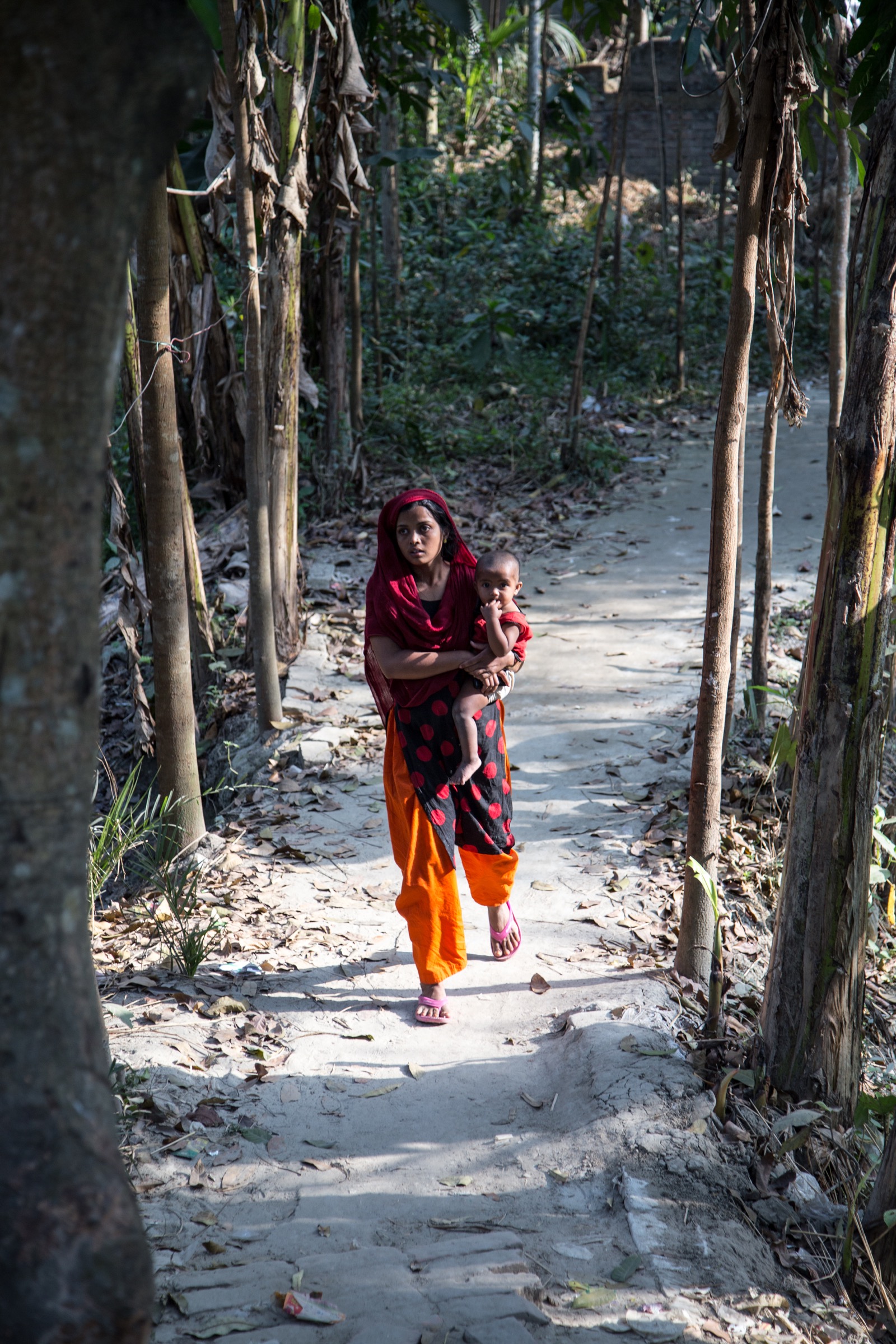 Hossain M. S. Sazzad and his team at ICDDR,B have learned the value of slow and steady trust-building in their efforts to prevent future Nipah outbreaks. Frequently, the only way to access remote villages is on foot, along narrow paths like this one. Photograph by Steven Bedard