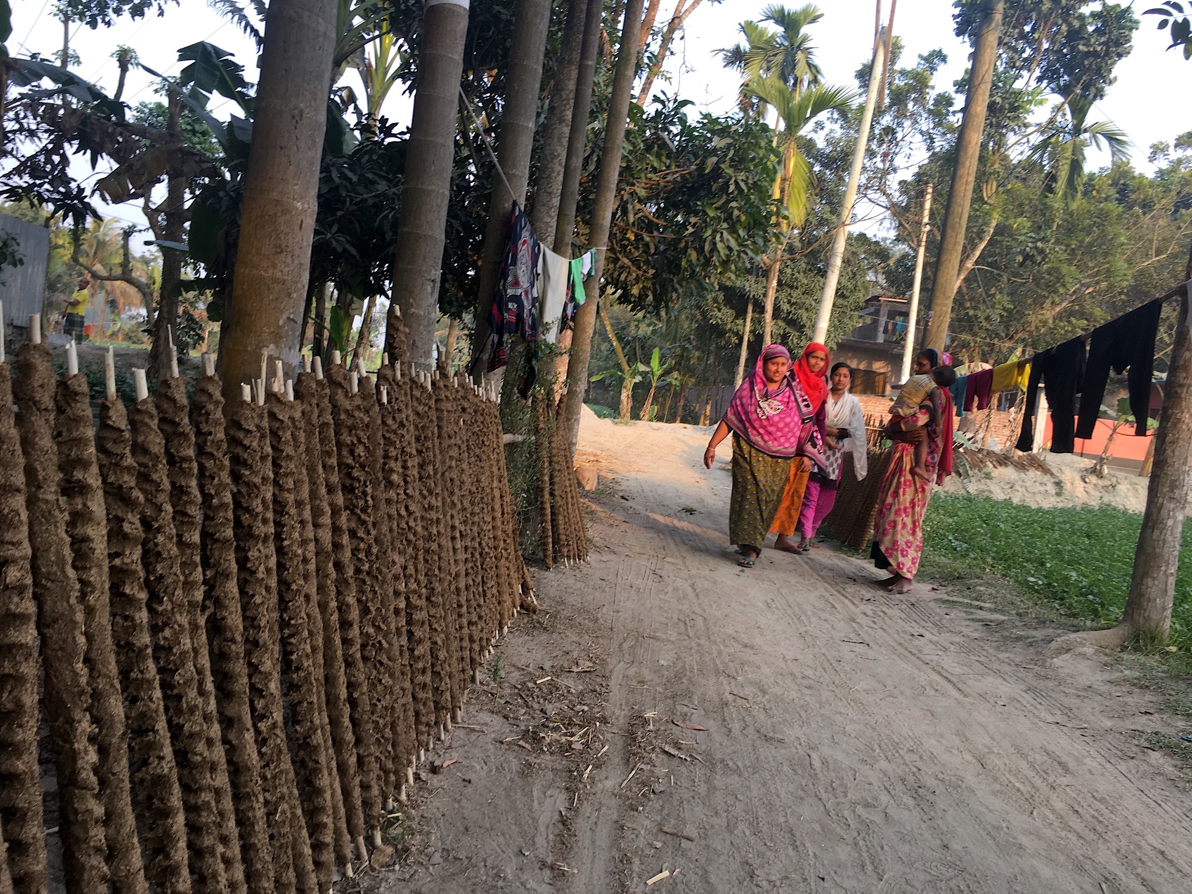 Investigating Nipah outbreaks and potential threats of infection frequently takes the team to remote regions of Bangladesh, where one town or village blends into another and homes have no address. Photograph by Steven Bedard