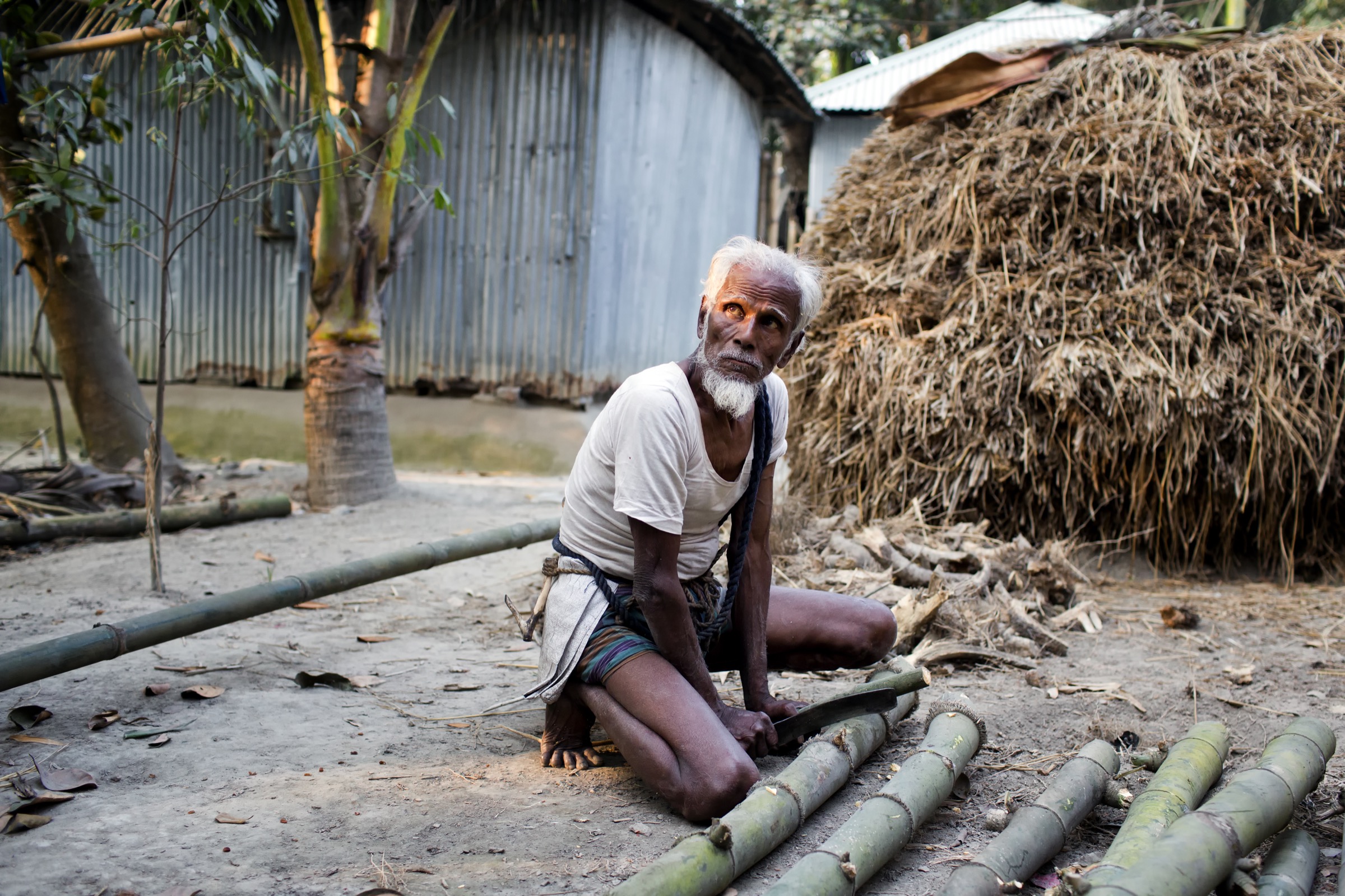This 85-year-old resident of Mohonpur supplements his meager income as a wood collector by tapping the date palm trees near his home and selling the sap to others in the village. Photograph by A.M. Ahad