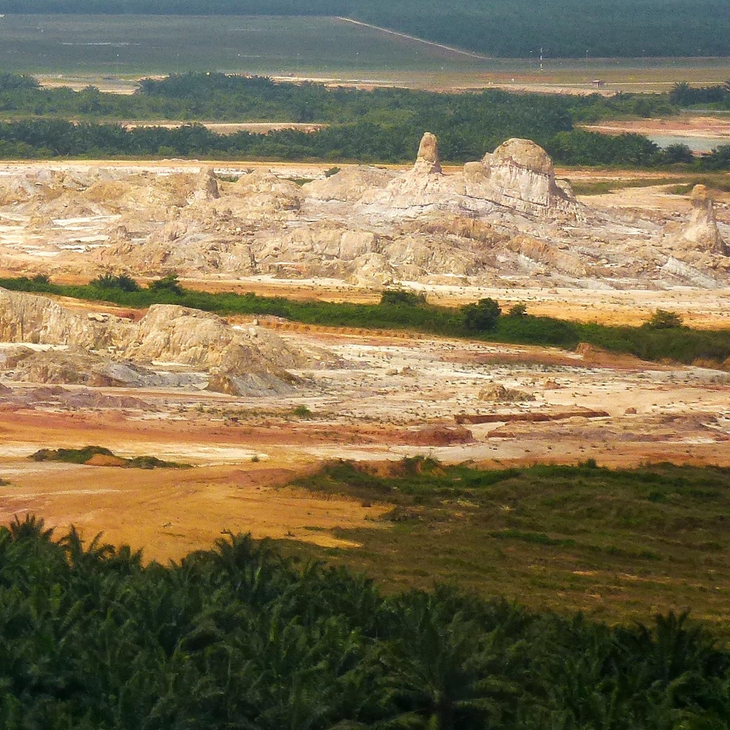 What was once pristine rainforest, the Bukit Pelandok region of Malaysia now lies in ruin, the victim of industrialized agriculture such as pig farming.
