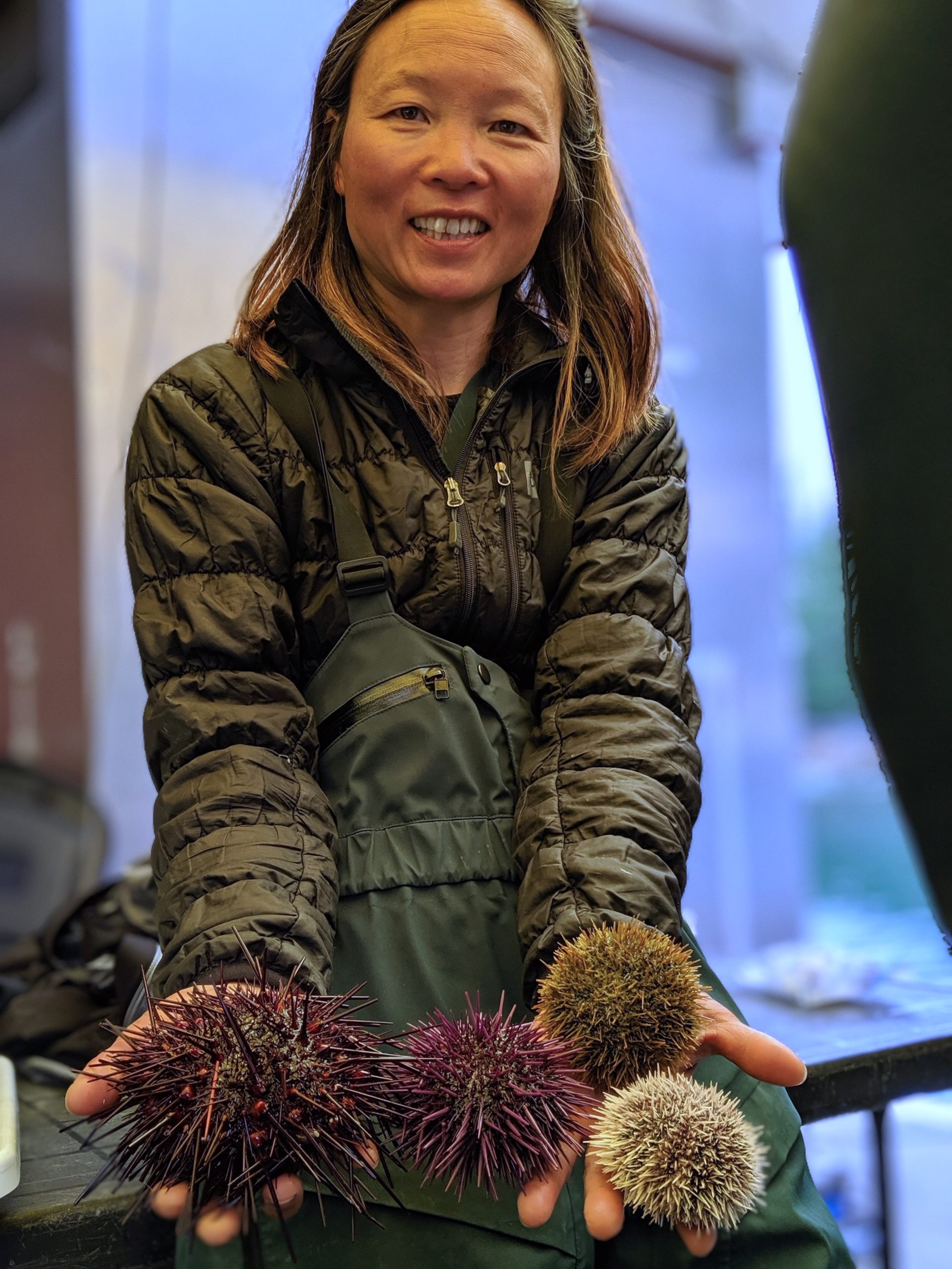 Marine ecologist Lynn Lee displays a variety of sea urchins that currently overpopulate the seafloor around Haida Gwaii. She and her team are exploring how the return of sea otters might influence this out-of-balance ecosystem. Photograph by Jason G. Goldman