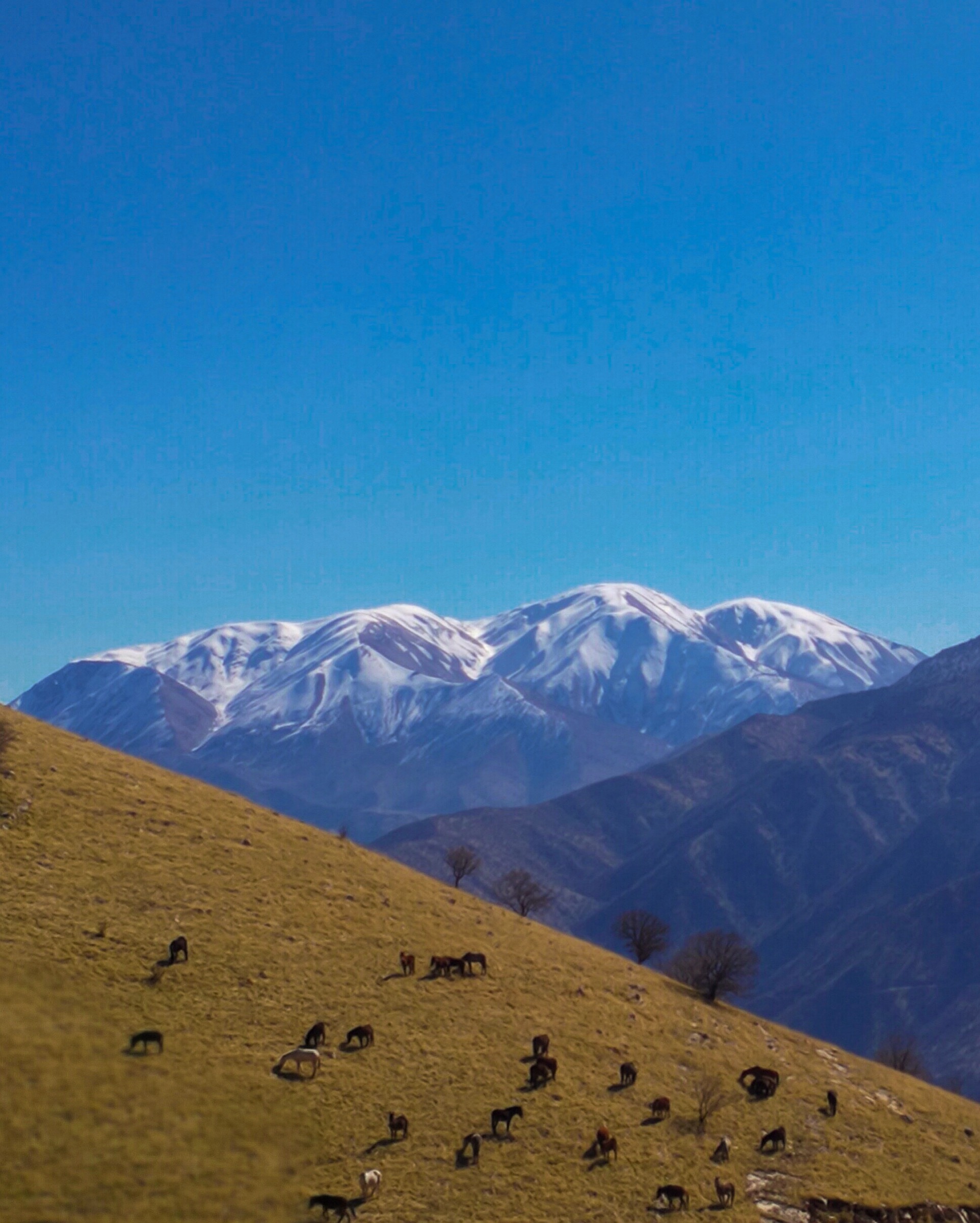For Hana Raza, Korsh Ararat, and many other Kurds, the mountains have long been a safe haven. Photograph by Korsh Ararat