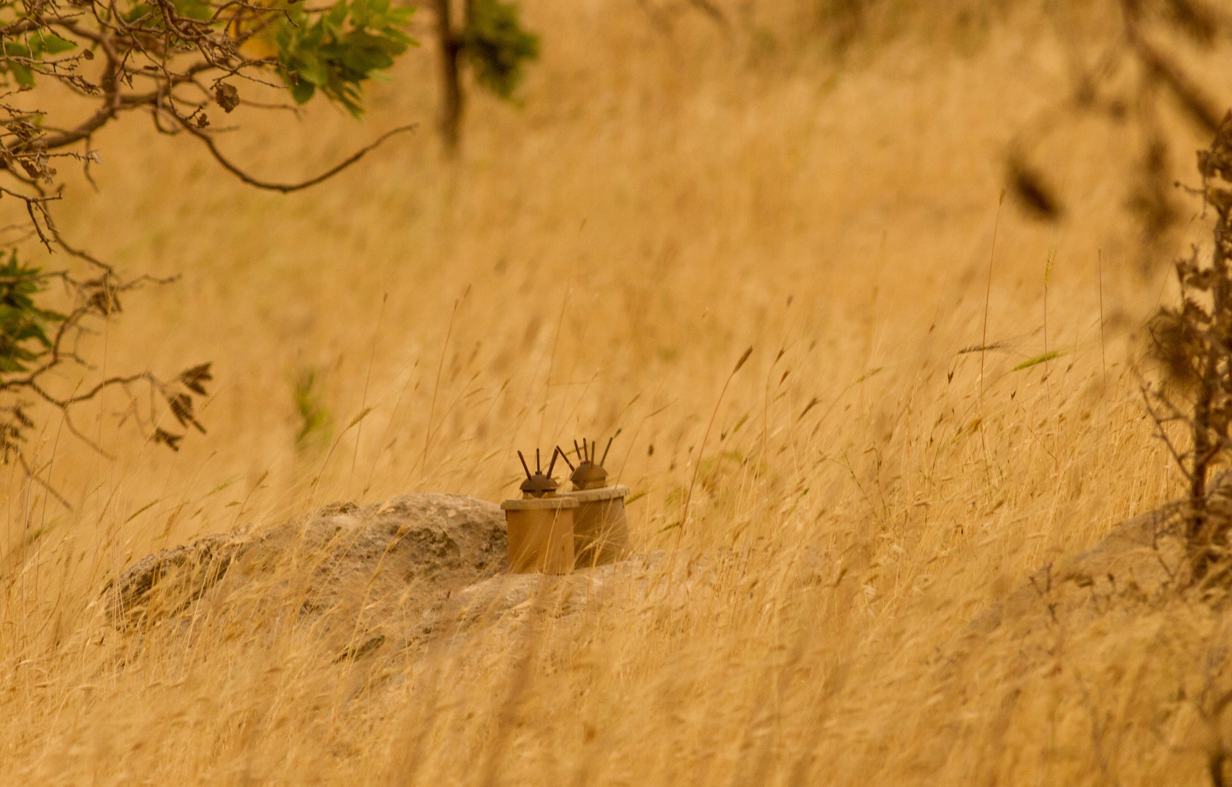 Landmines like these are powerful reminders of Iraq’s not-so-distant war-torn history. Photograph by Korsh Ararat