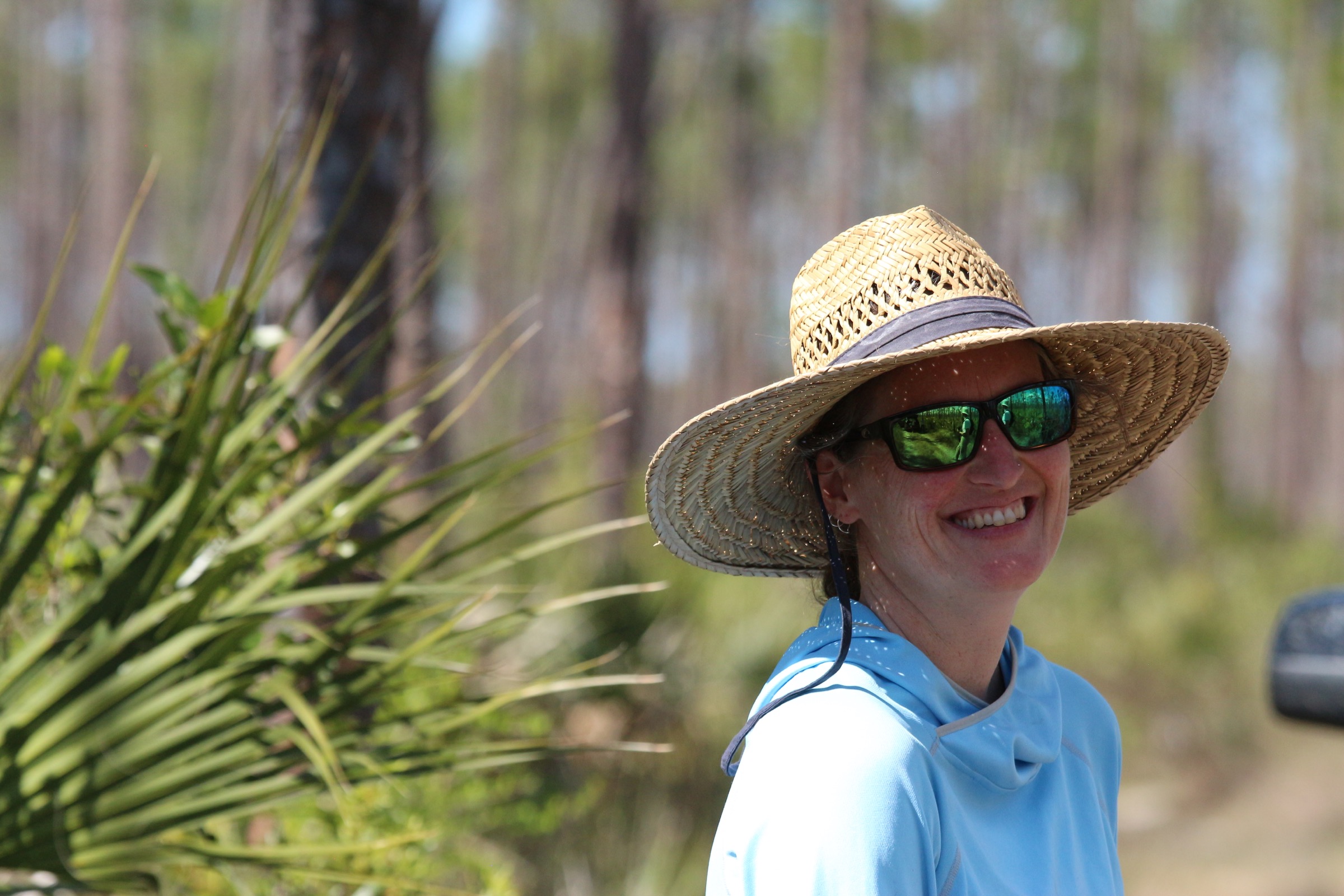 Erica Henry traded in her skis to study Florida's rare butterflies, including the Bartram's scrub hairstreak that lives here in the Everglades National Park. Photograph by Hannah Hoag