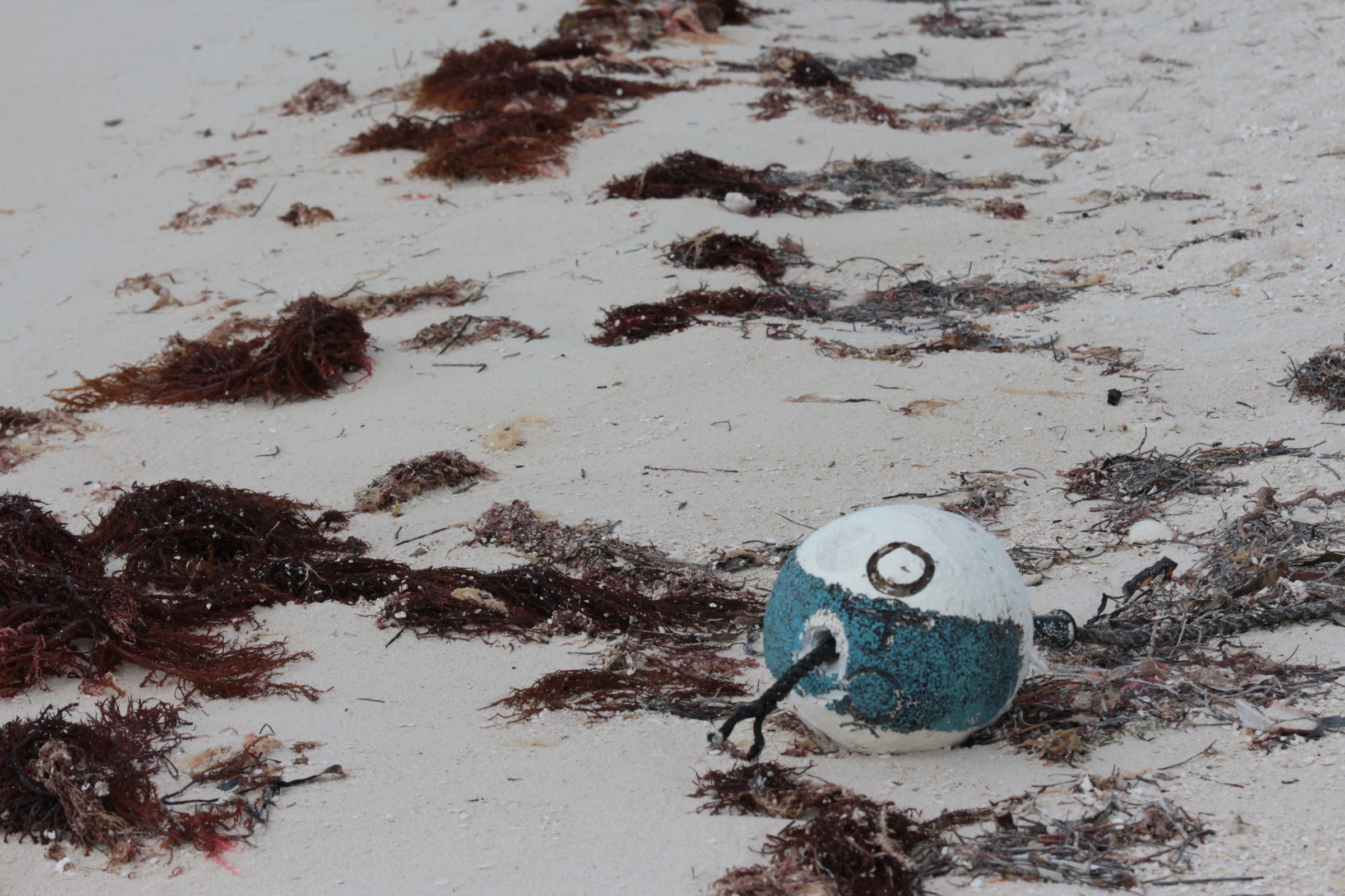 A fishing buoy on a beach in the Florida Keys is a subtle reminder of the devastation Hurricane Irma left in its wake. Photograph by Hannah Hoag