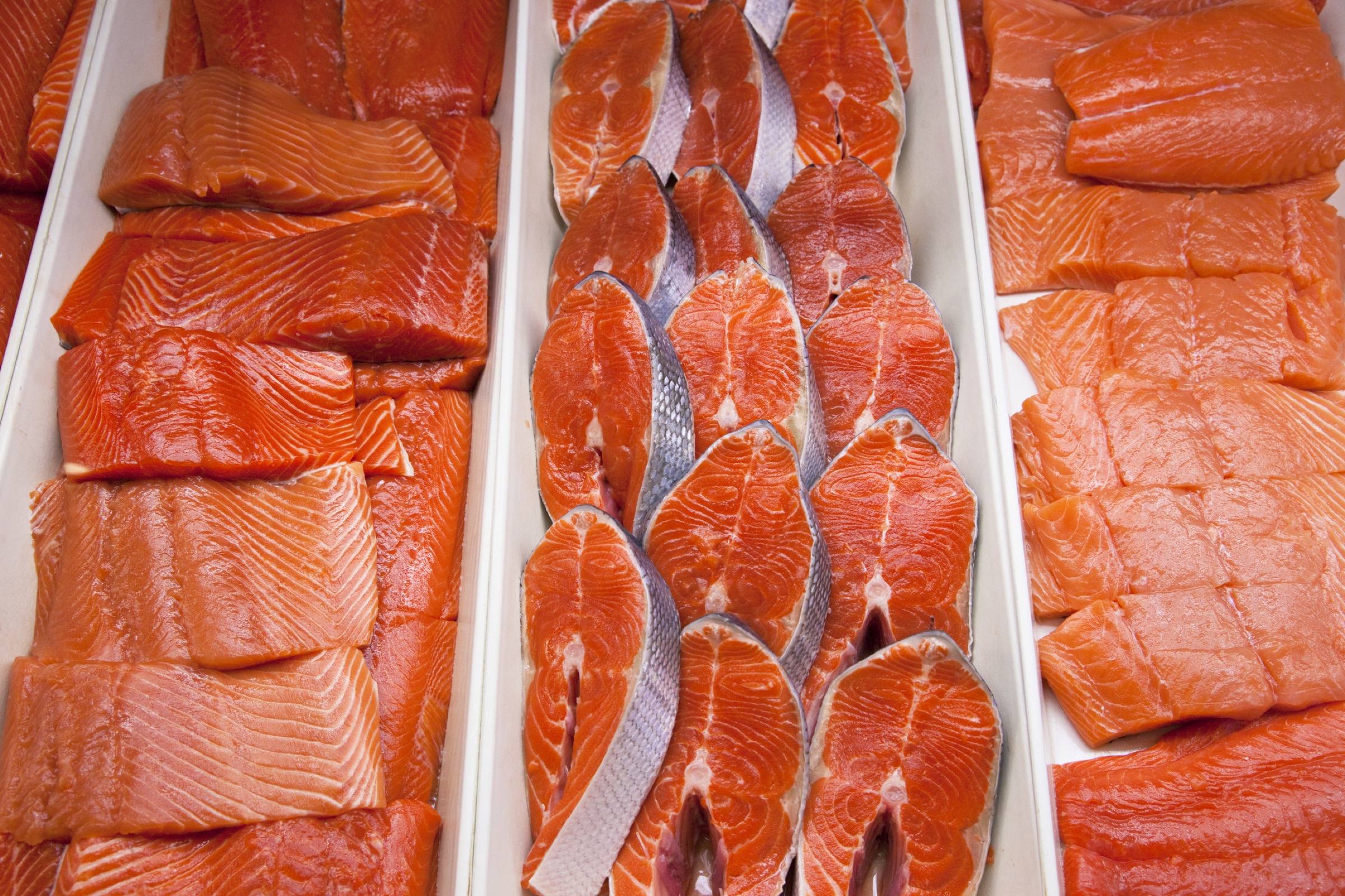 Wild salmon for sale in a grocery store—Photograph by Lucidio Studio Inc./Getty