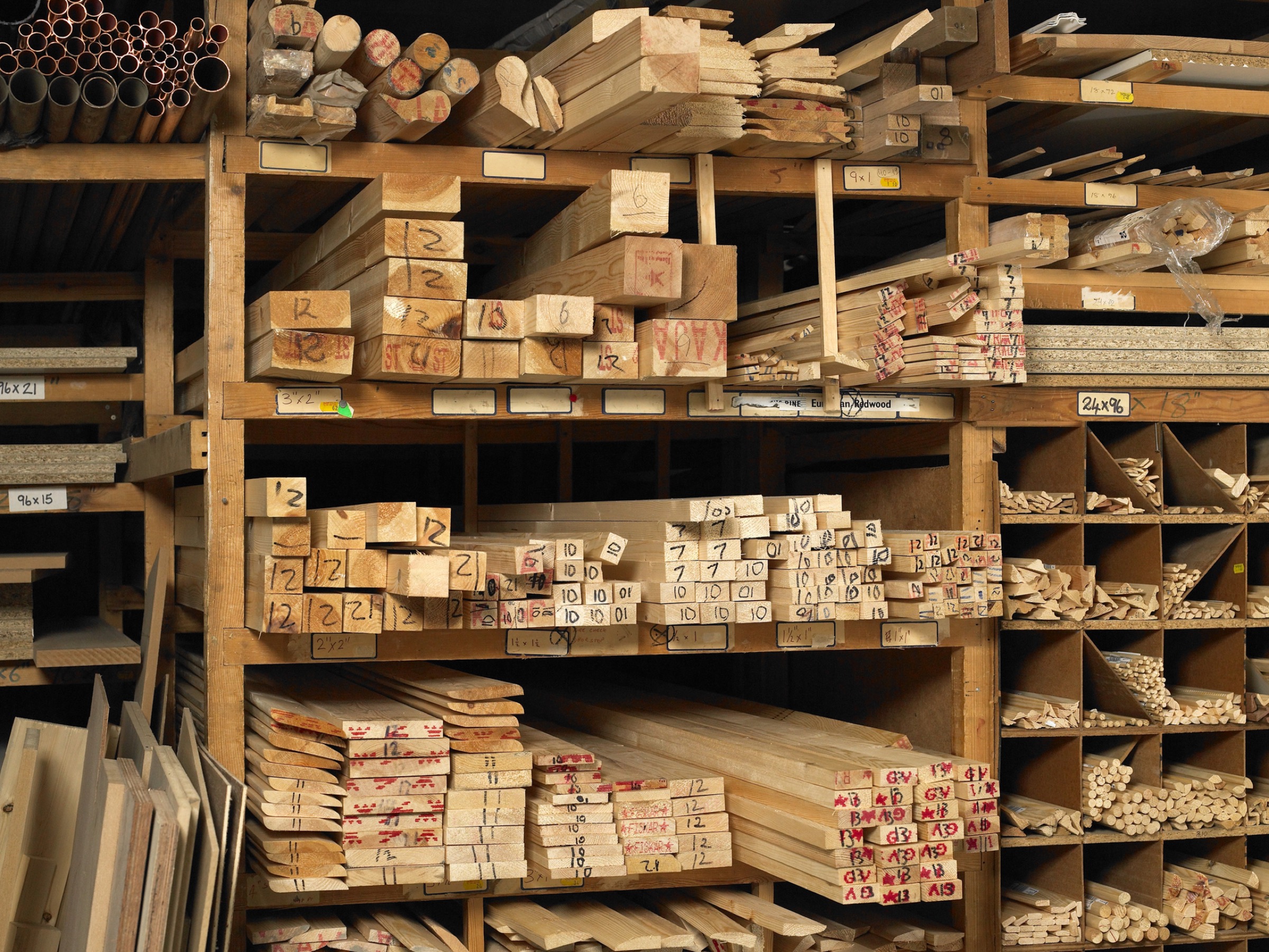 The DNA scanner analyzes DNA from wood samples to detect differences between trees from various parts of the world. Photograph by Michael Blann