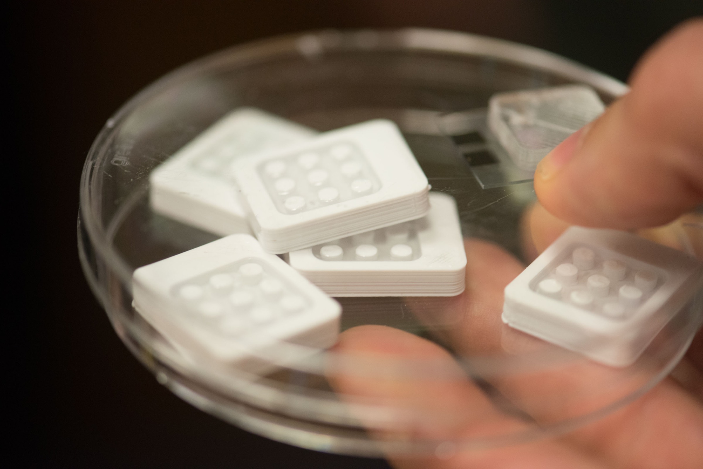 These sampling containers will be filled with DNA samples and loaded into the scanner for testing. Photograph by Daniel Berman