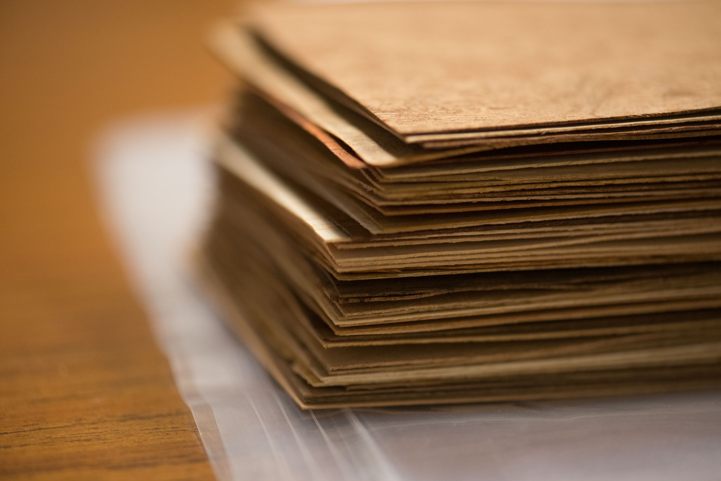 Wood veneer samples for use in DNA extraction and comparison testing. Photograph by Daniel Berman