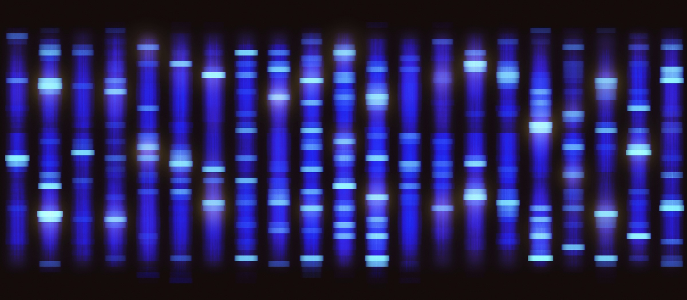 Illustration by KTSDESIGN/SCIENCE PHOTO LIBRARY