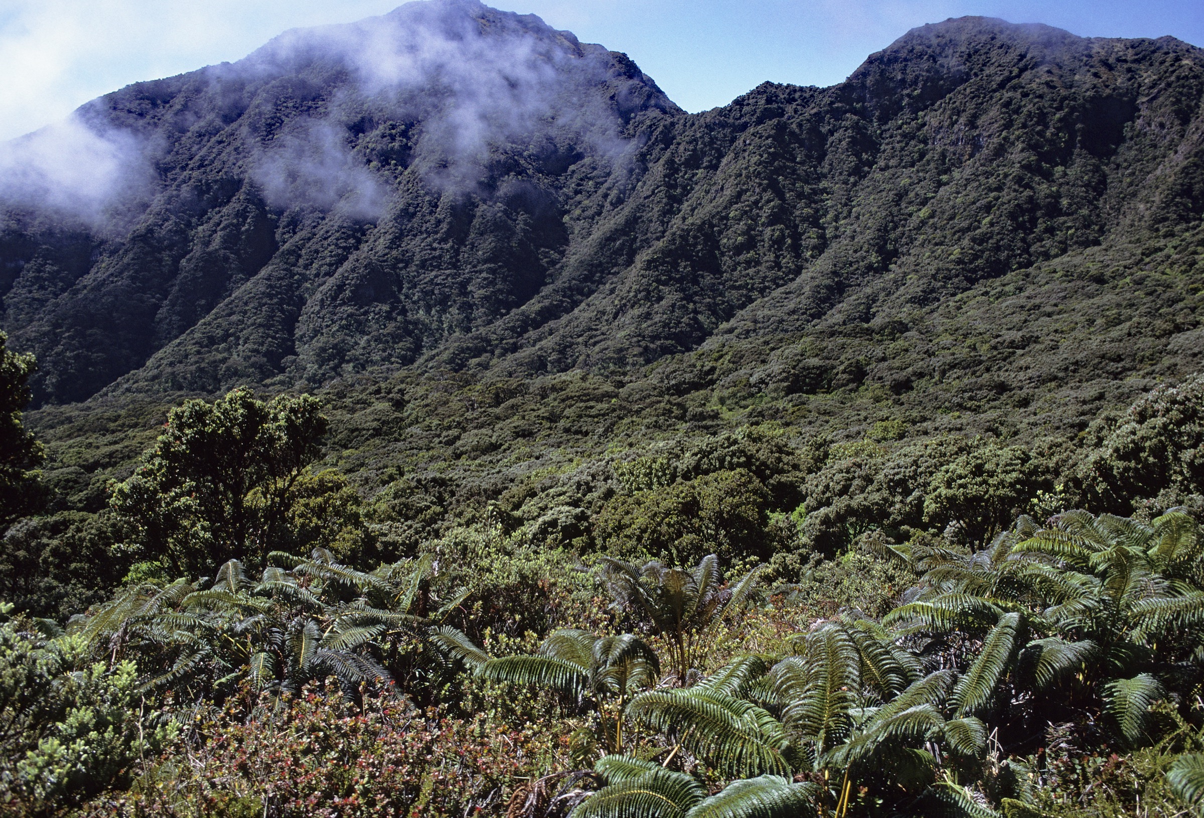 A view of the KīpahuluValley on the east slope of Haleakalā, Maui—Photograph by Jack Jeffrey