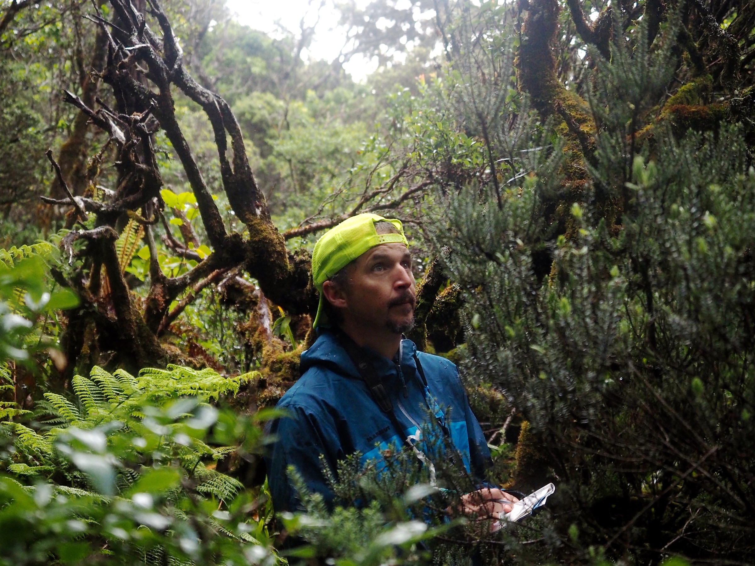 Seth Judge listens intently for bird calls during an 8-minute survey count. Photograph by Jeremy Miller