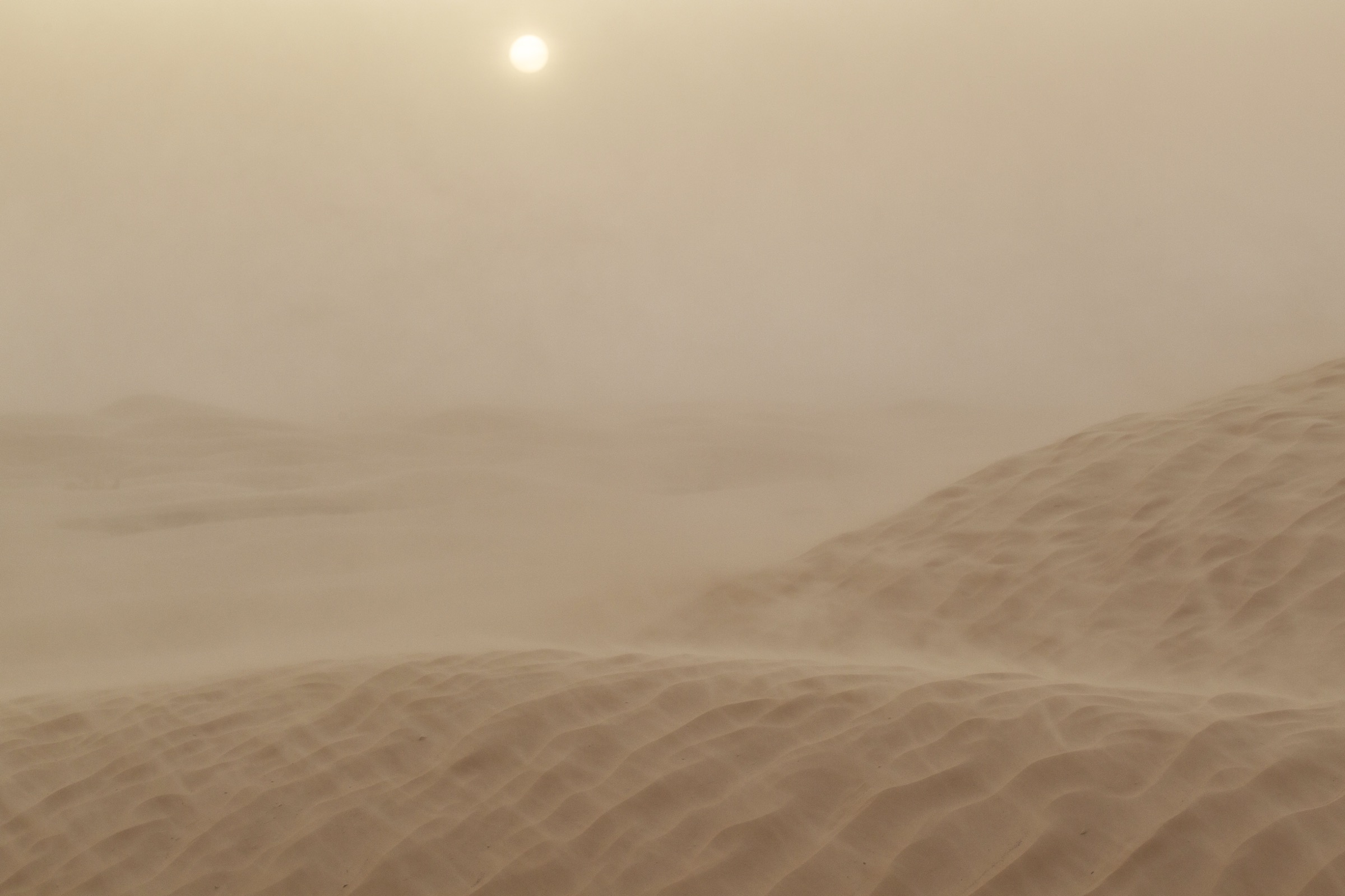 Sunlight filters dimly through clouds of sand during a severe sandstorm in the Tunisian Sahara.