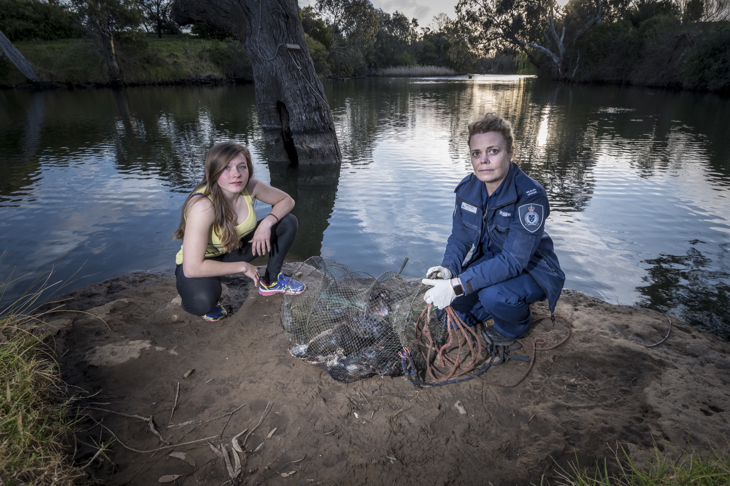 Crab traps called opera house traps pose a significant threat to foraging platypuses. A wildlife officer shows one such trap that contained the bodies of five drowned animals.