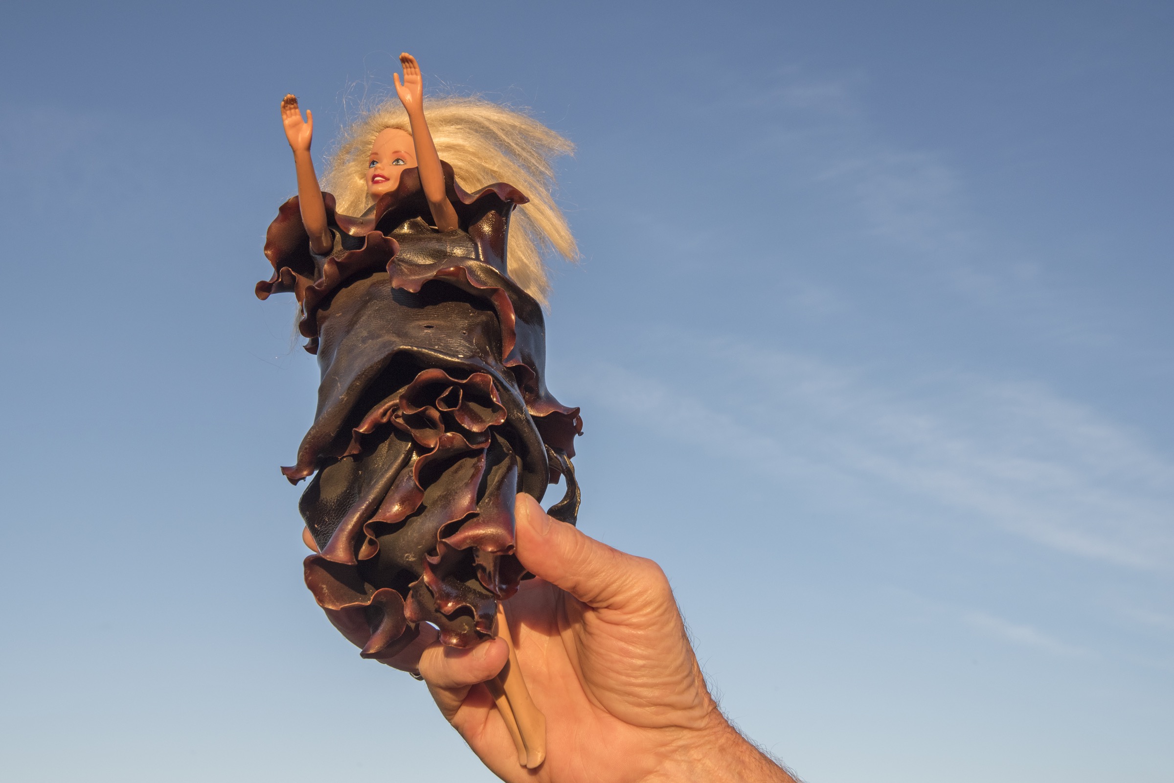 King Island resident artist Caroline Kininmonth creates art made from bull kelp, including designer dresses for Barbie dolls.