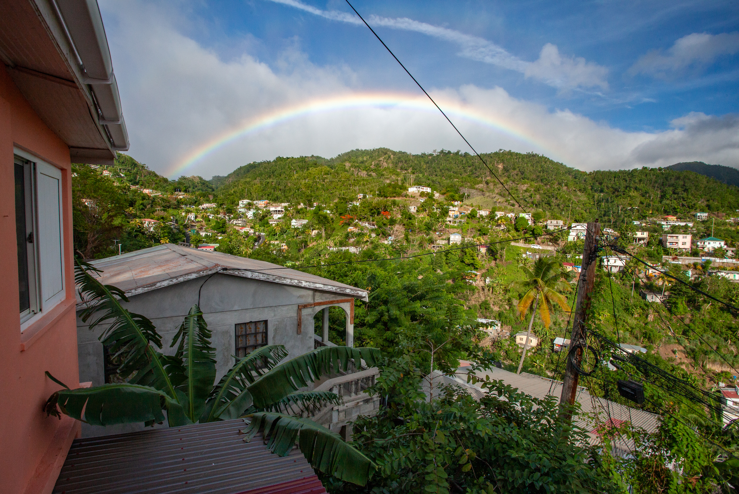 Dominica, know as the “Nature Isle” for its extensive forests, was ravaged by Hurricane Maria in 2017. Photograph by Geoffrey Giller