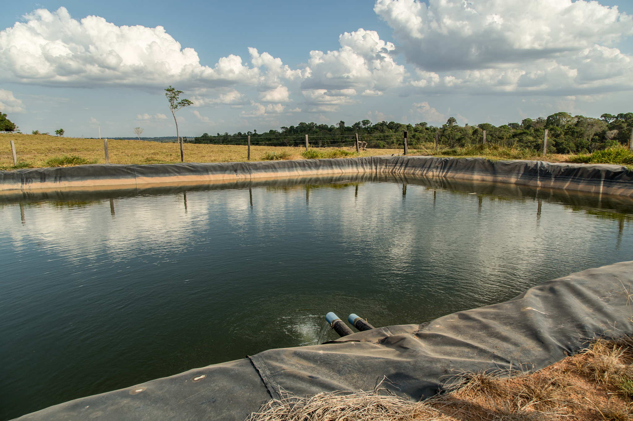 River water is piped into this holding pond and then distributed via gravity to watering troughs below. The irrigation system keeps the cattle away from rivers, streams, and springs, where their hoofs stomp out tree seedlings and cause erosion. Photograph by Christina Selby