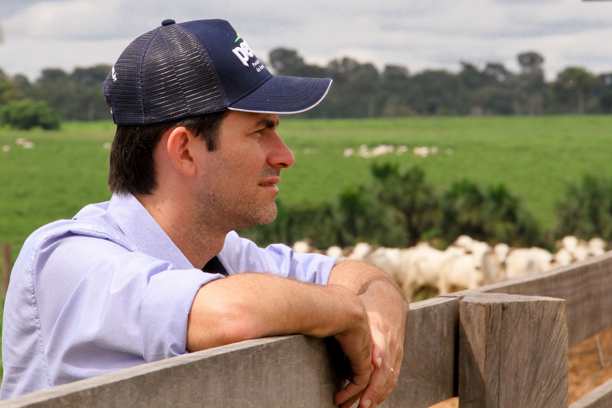 Vando Telles, the CEO and co-founder of Pecsa, visits a ranch in the wet season when pasture grasses are thriving and green. During the wet season, cattle are mostly pasture-fed but still receive supplemental feed to balance their nutrition and reduce methane emissions. Photo courtesy of Pecsa