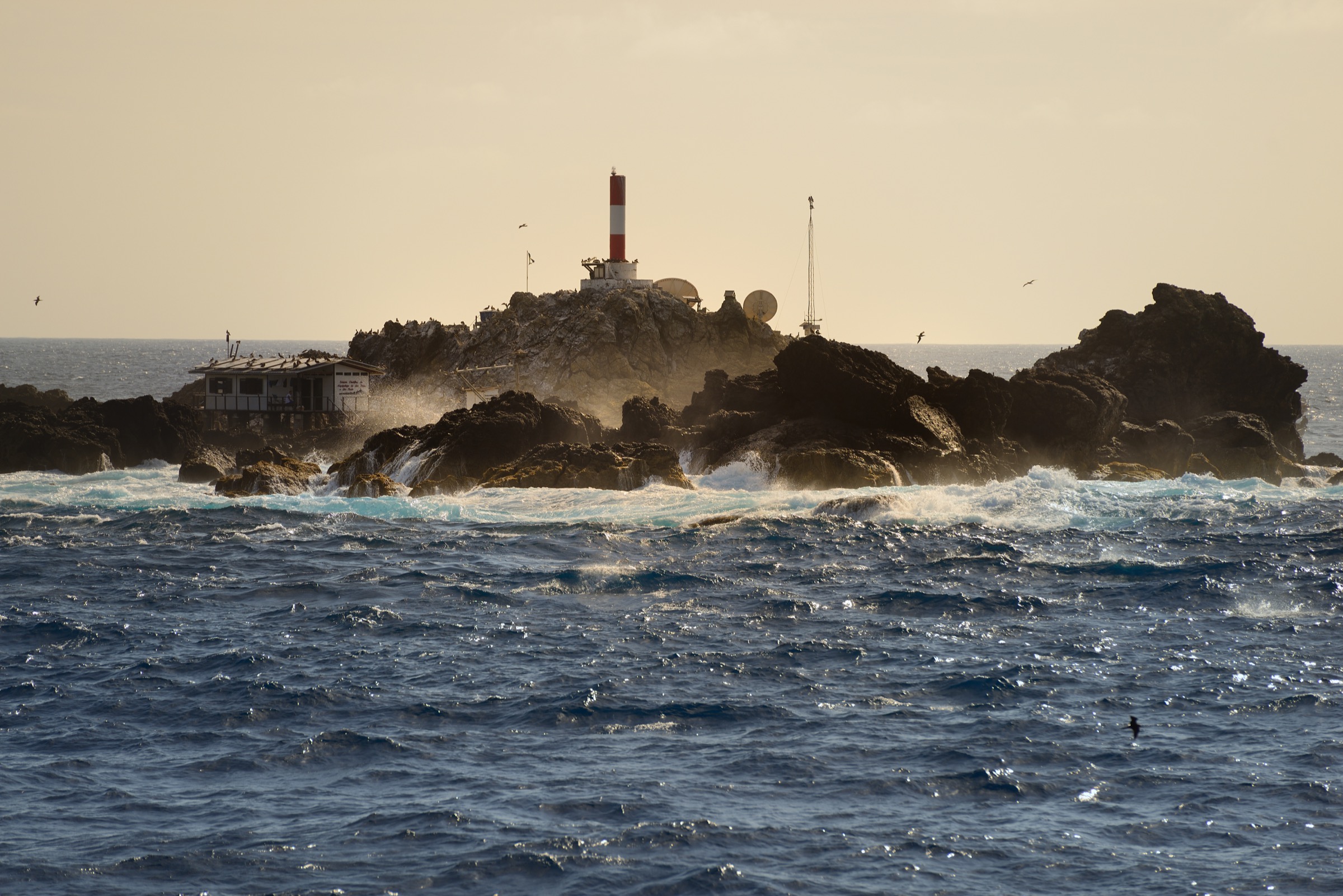 Hundreds of resident brown boobies (Sula leucogaster) circle above Saint Peter and Saint Paul Archipelago, a tiny set of islets in the middle of the Atlantic Ocean. Photograph by Novus Select