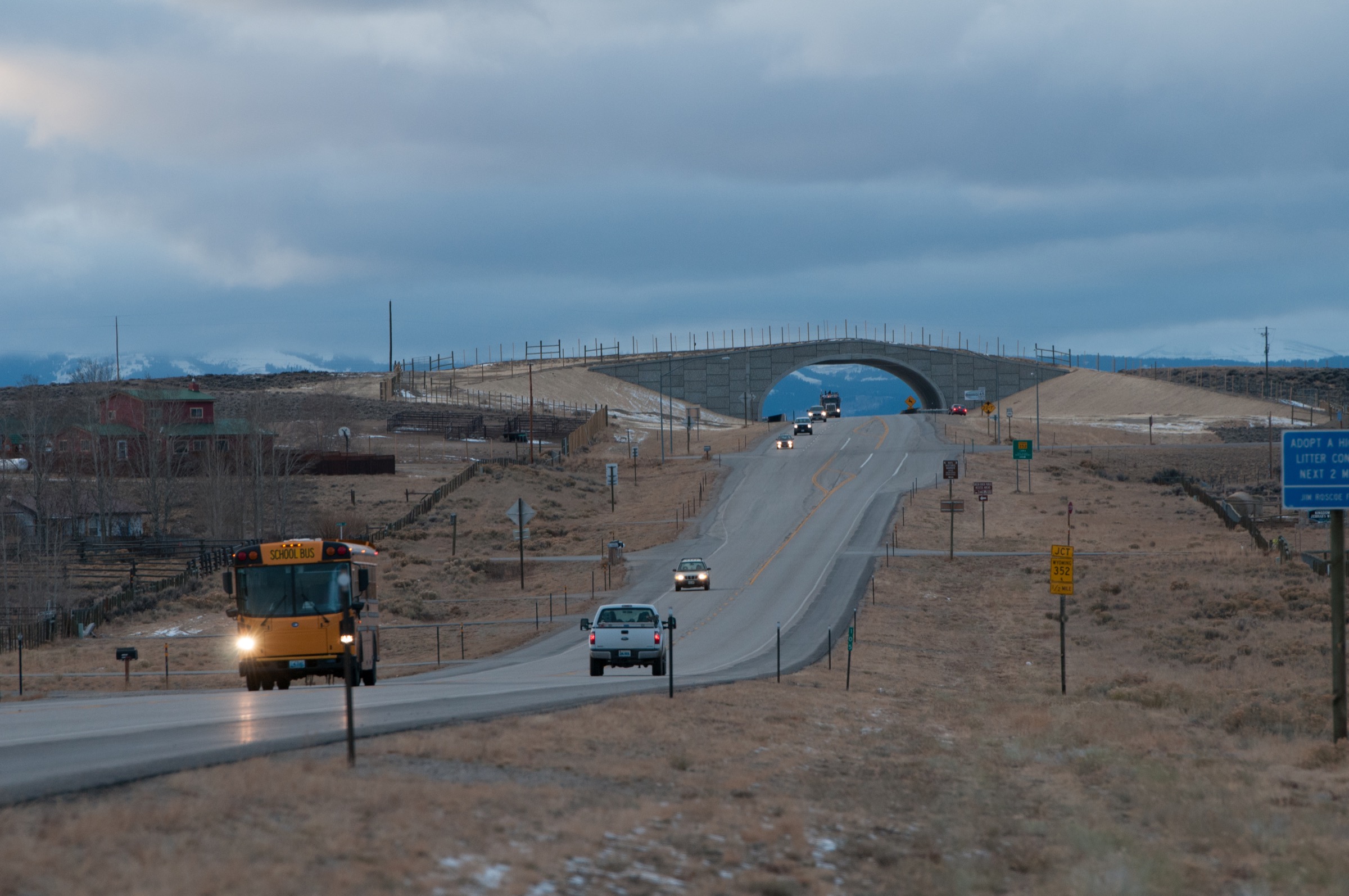 To reduce the number of pronghorns killed by cars on Highway 191, overpasses now usher the animals up and over the busy road.