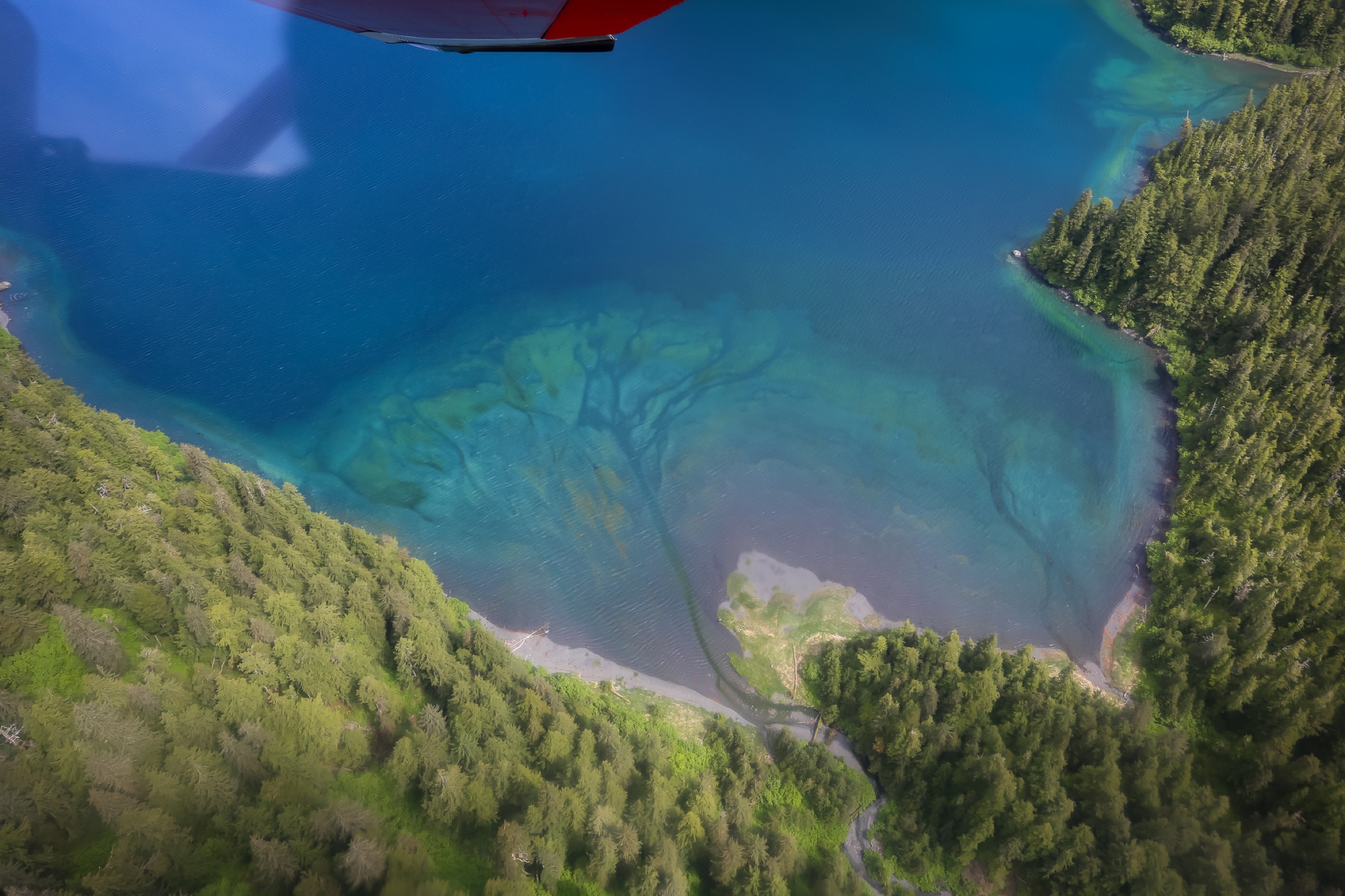 A view from the plane, showing the head of Shelter Bay on Evans Island in western Prince William Sound. Photograph by Julia Rosen