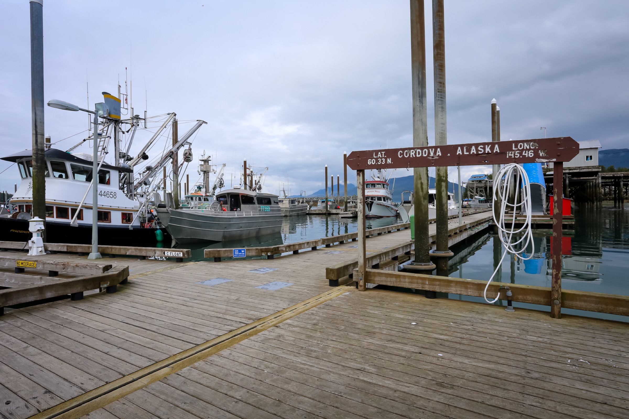 On the docks in the old harbor. Photograph by Julia Rosen