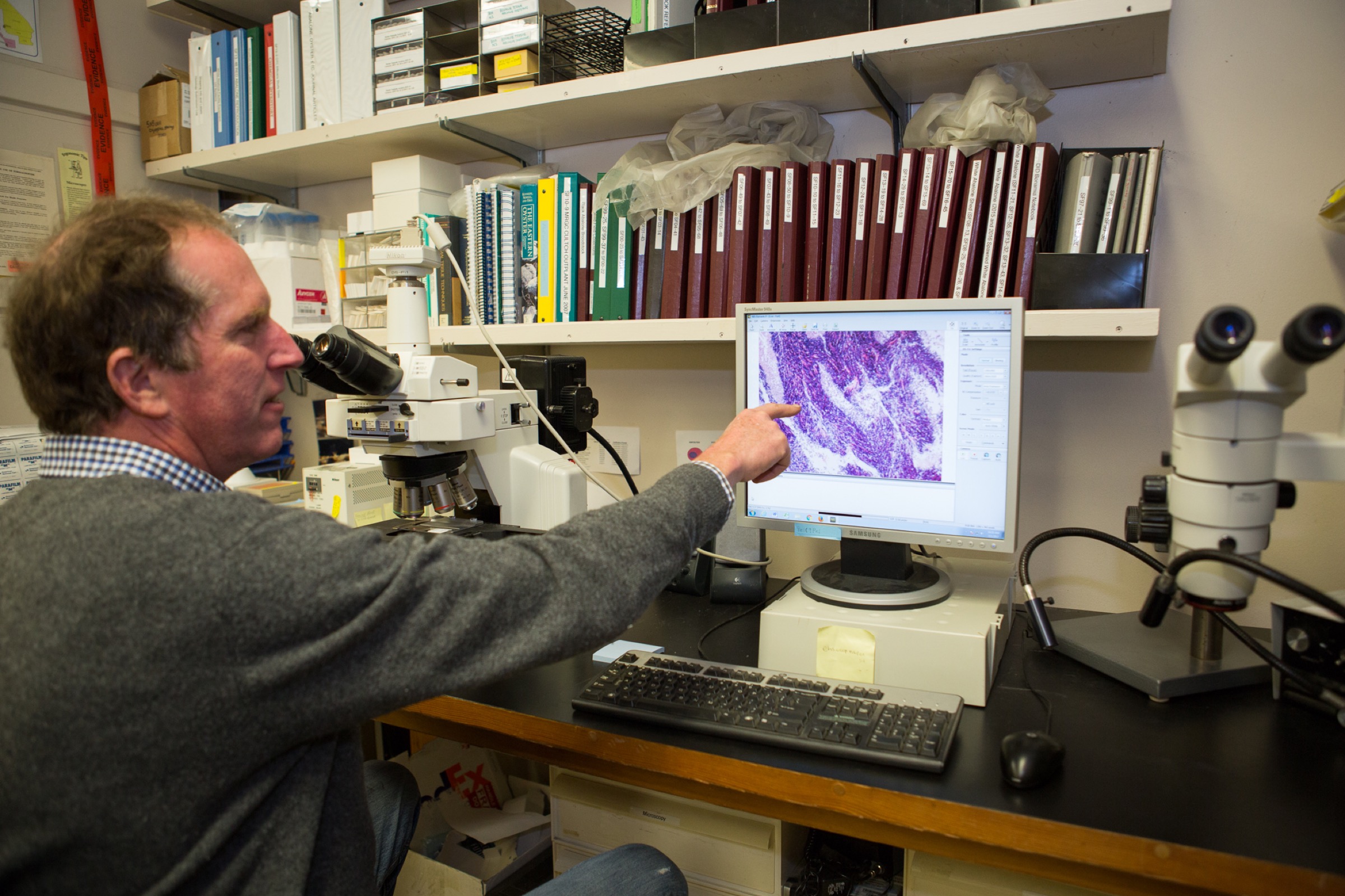 Jim Moore points out diseased tissue on a dyed abalone sample.