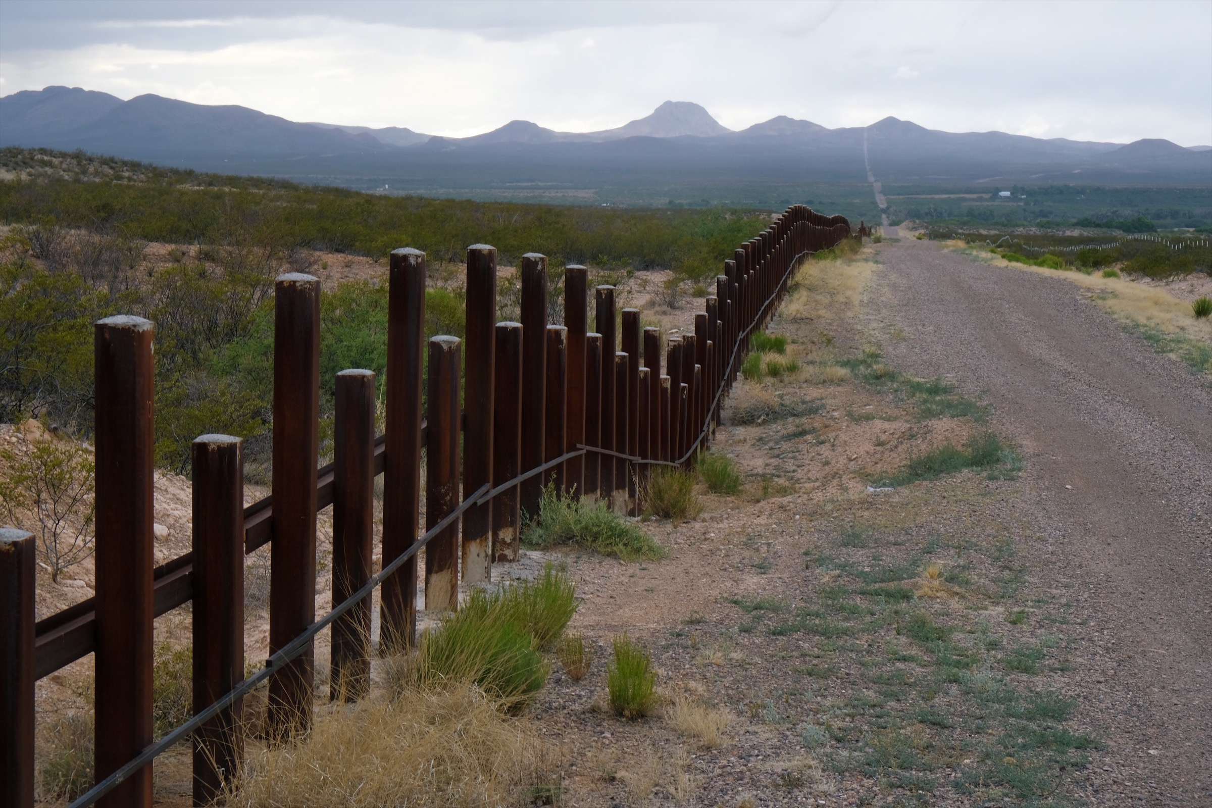 Both border fences and access roads, like these at the southern boundary of the San Bernardino Wildlife Refuge, keep wildlife from moving as freely as they once did. Photograph by Julian Smith