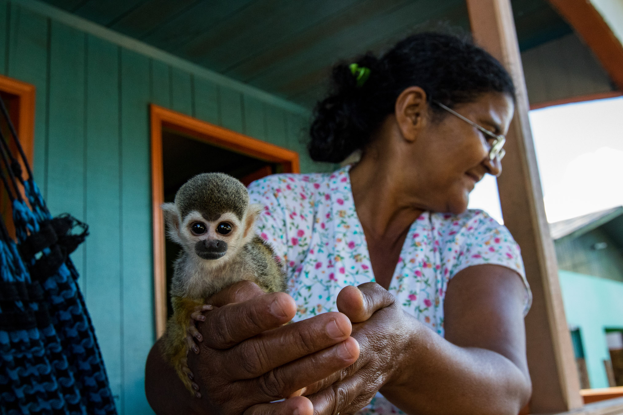 A community member in Eirunepé shows scientists her pet squirrel monkey (Saimiri boliviensis). Baby monkeys are often raised by villagers when their mothers are killed by hunters.