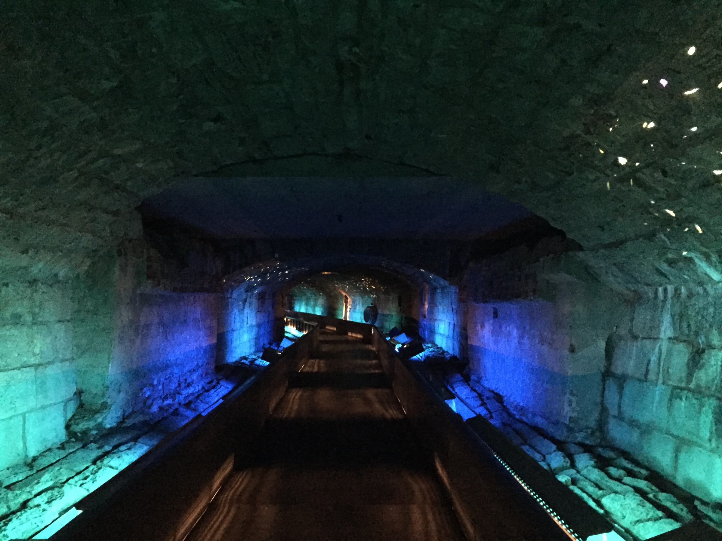 Once an underground channel for Montreal’s polluted Little River, this tunnel is now a reminder of the corridors humans have created and destroyed as civilizations grew. Photograph by Hillary Rosner