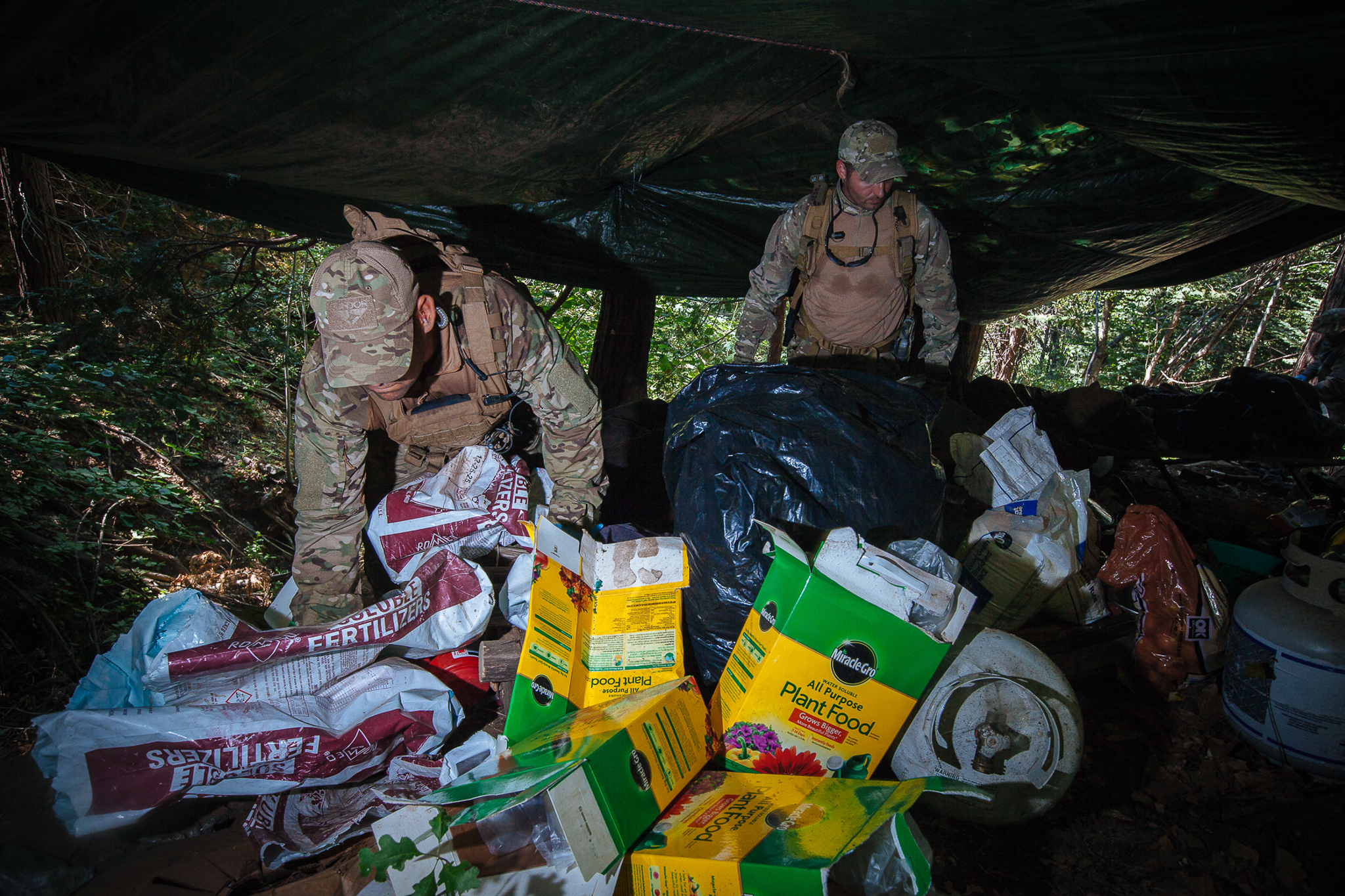 Growers typically camp in close proximity to the fields they manage. These camps contain months’ worth of supplies, including food, pesticides, rat poisons, and irrigation tubing.
