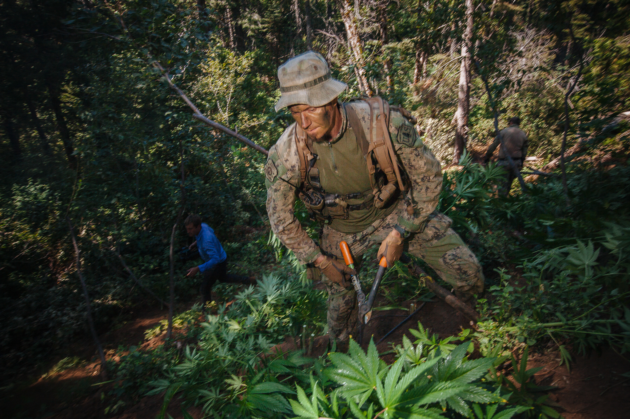 Law-enforcement officers move quickly through a grow site dubbed the “Palmetto Grow.” Since the plants have not yet gone to bud, the team will leave them to wither and dry in the sun.