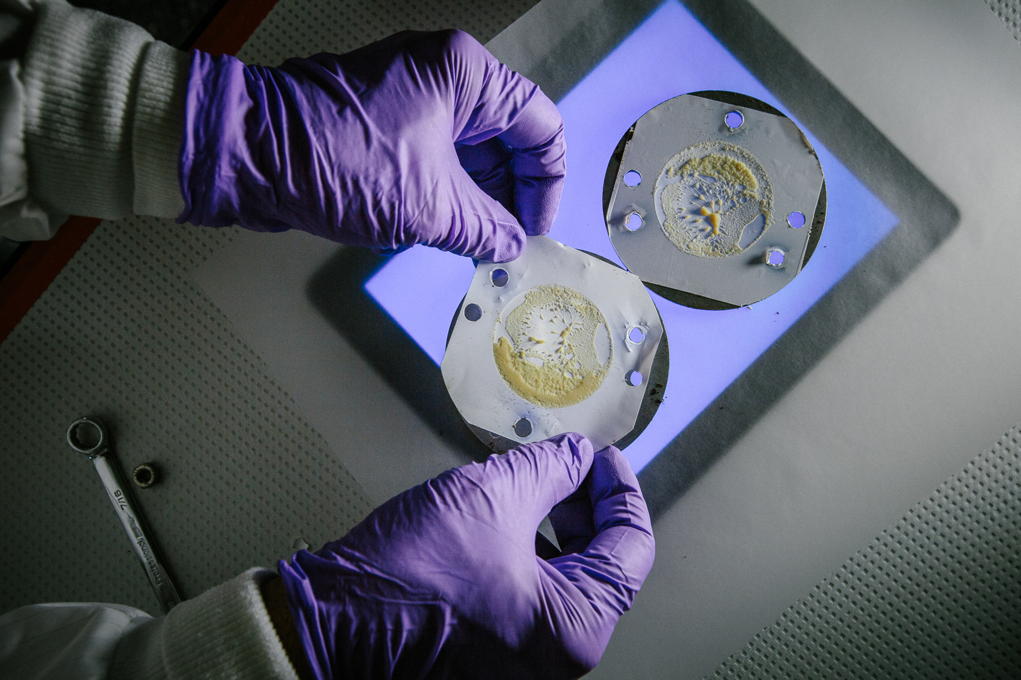 Water filters collected from streams surrounding marijuana grows are prepared for chemical analysis.