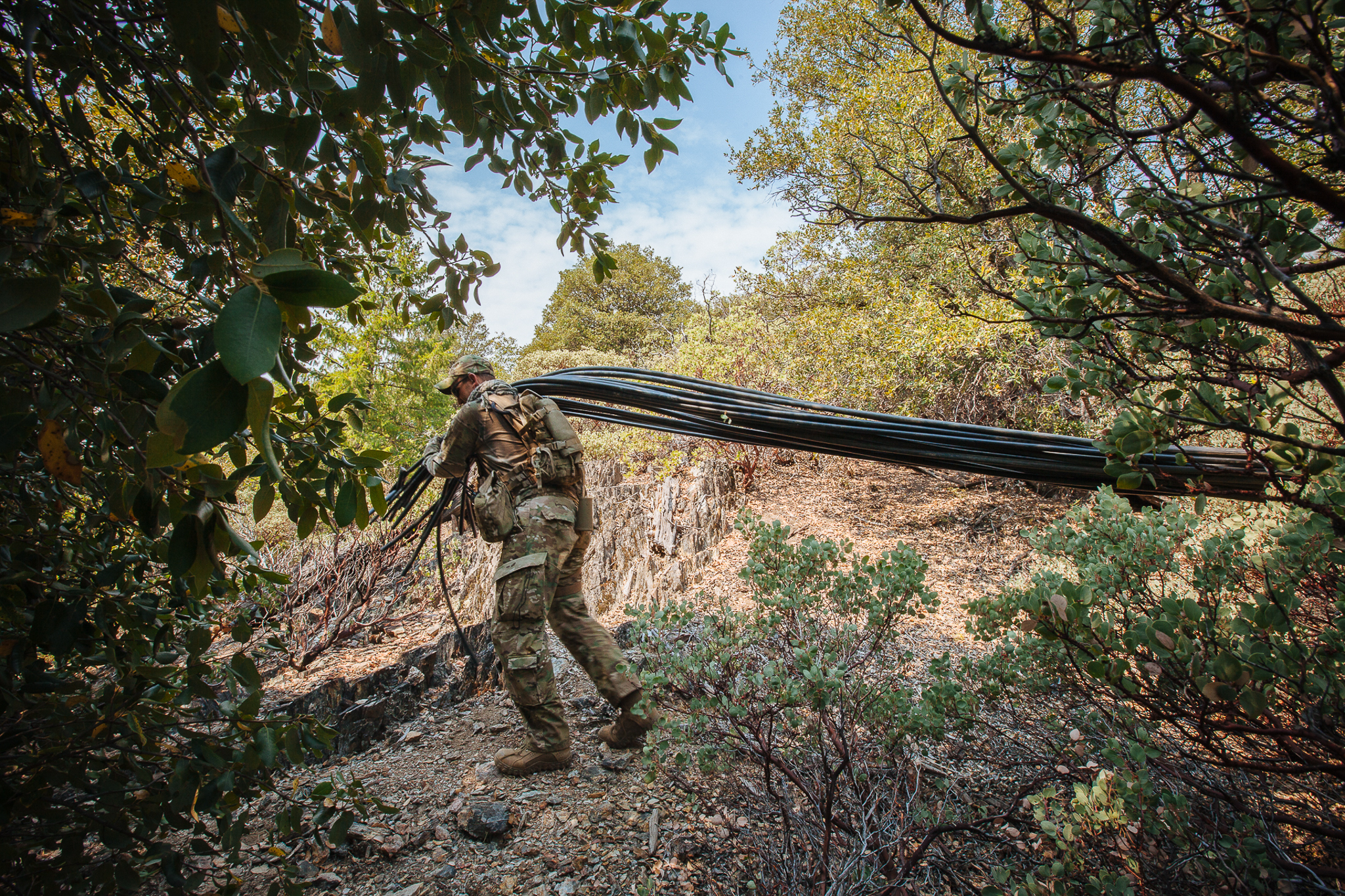 A law-enforcement officer hauls irrigation tubing out of an illegal trespass grow discovered on public lands.