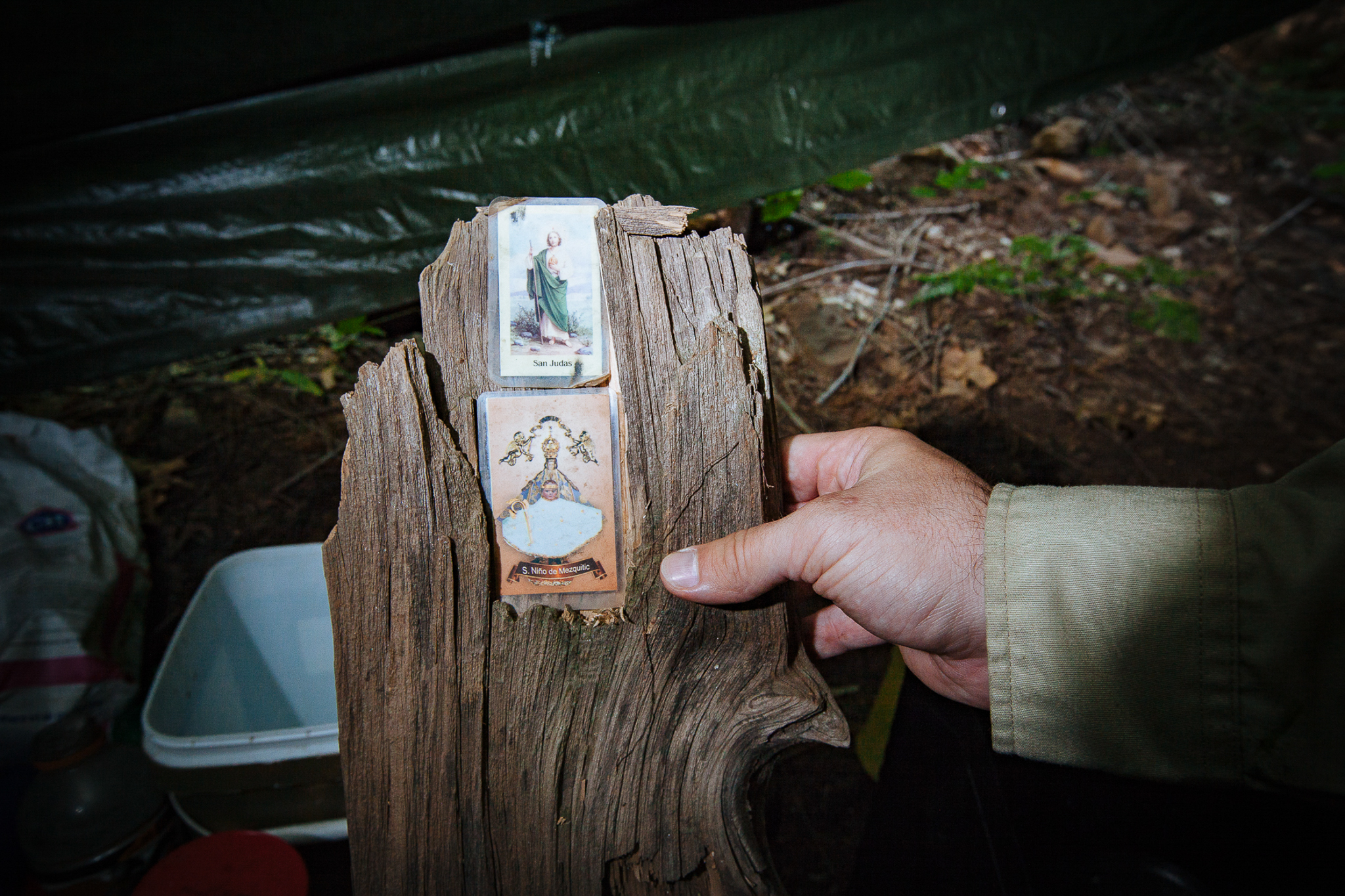 Officers often find evidence of religious shrines at grow camps. In this case, they found prayer cards for Saint Judas and a card symbolizing the Chapel of the Holy Child of Mezquitic Magdalena.