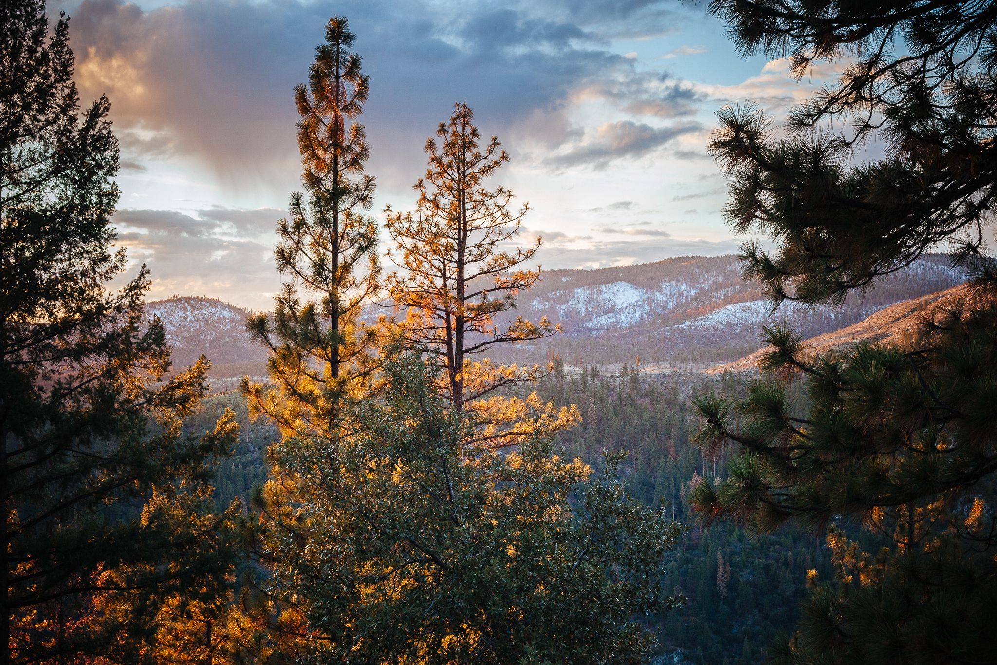 From national parks and forests to tribal lands, an estimated $31 billion worth of marijuana is grown annually by international drug trafficking organizations in California. Similar operations are known to occur in at least a dozen other states.