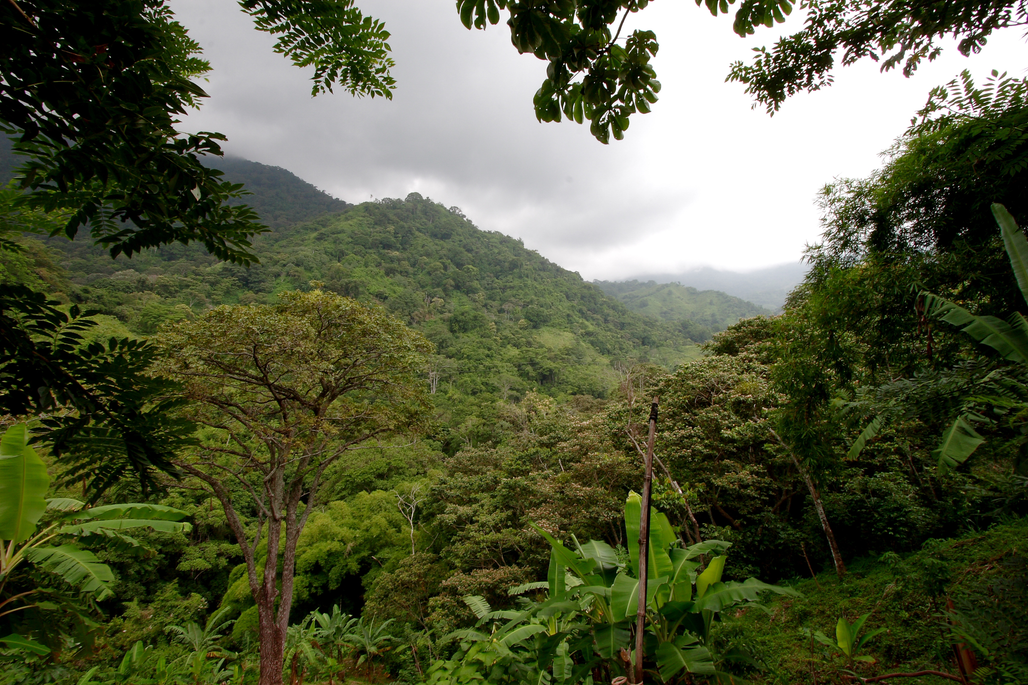 The Sierra Nevada Mountains in the Magdalena region of northern Colombia. Photograph by Mark Rowland