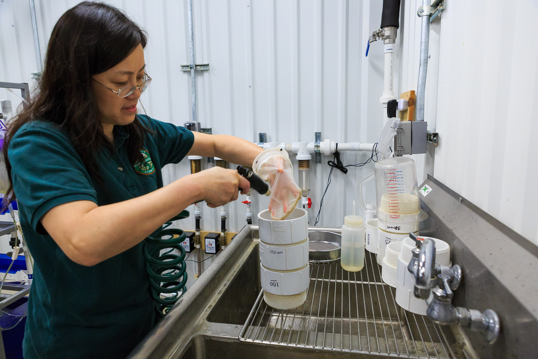Cumberland Aquatic Center scientist Dan Hua collects juvenile mussels using micro-sieves in preparation for viewing under a microscope. Photograph by Kathryn Whitney