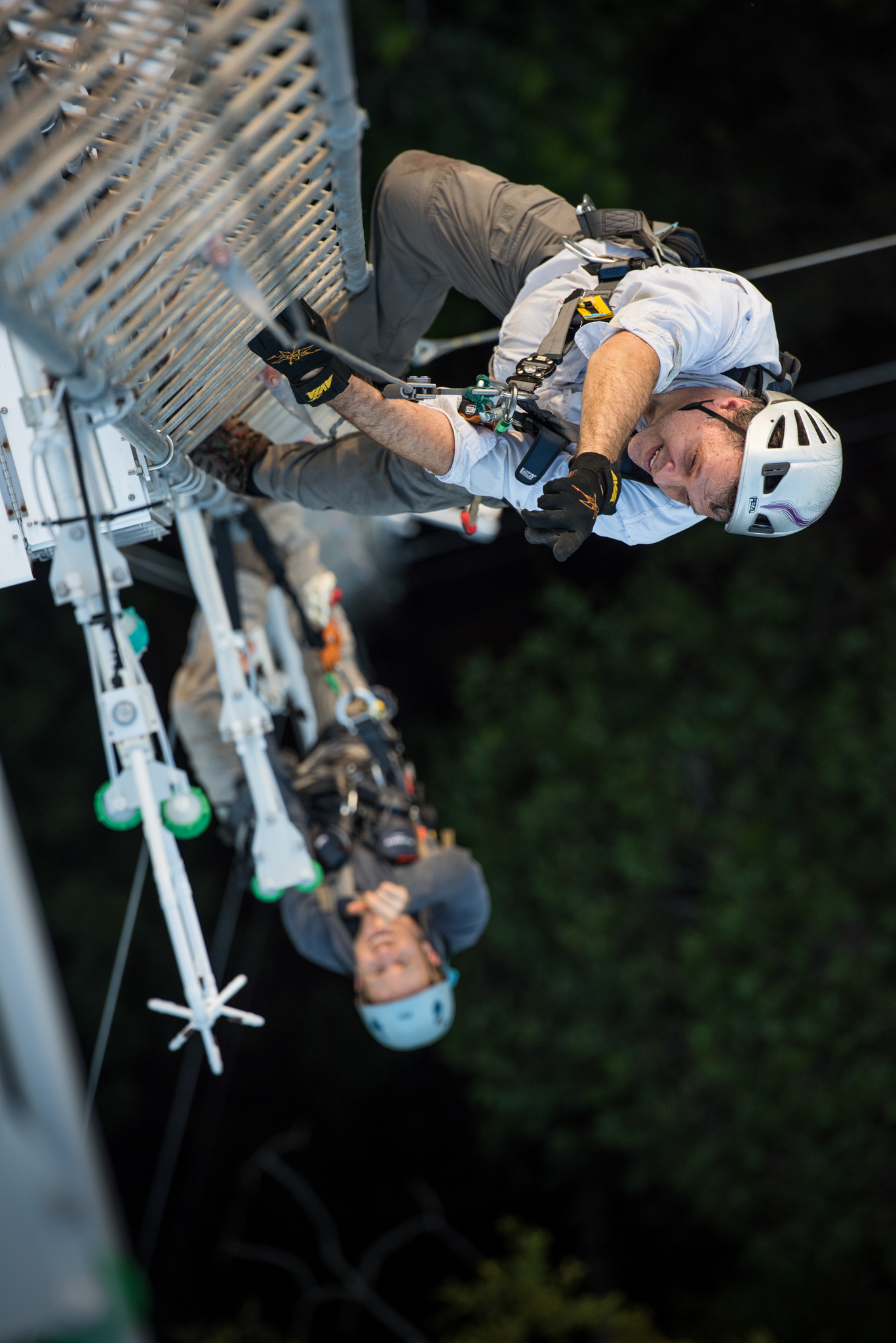 High above the rainforest canopy, University of Arizona scientists Scott Saleska and Neill Prohaska ascend a 220-foot-tall flux tower in the middle of their study site. Sensors on the tower measure the carbon dioxide and water vapor that flow into and out of the forest.