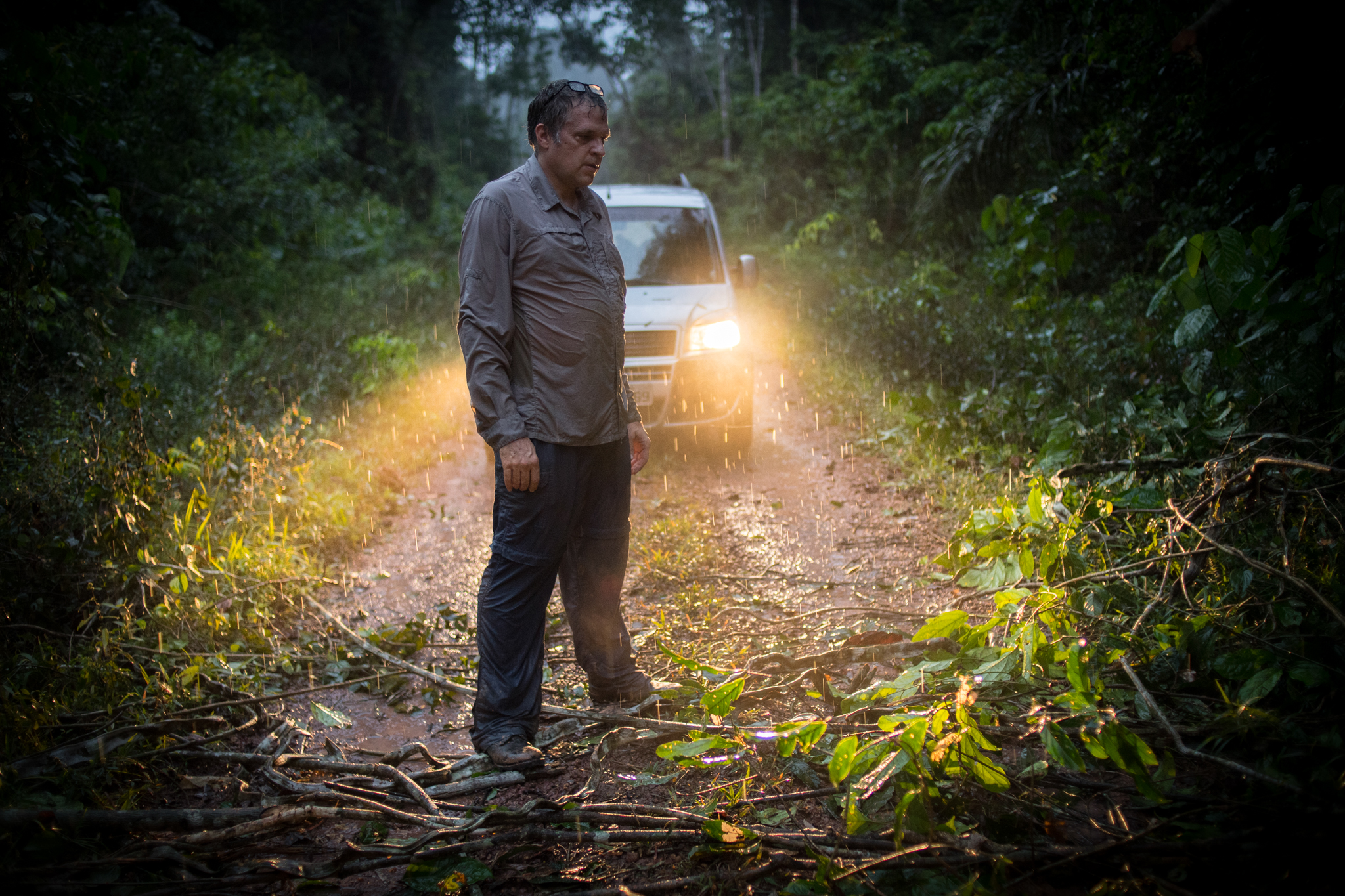 On his way back to camp after a long day of work on the flux tower, Scott Saleska found the road blocked by fallen trees.