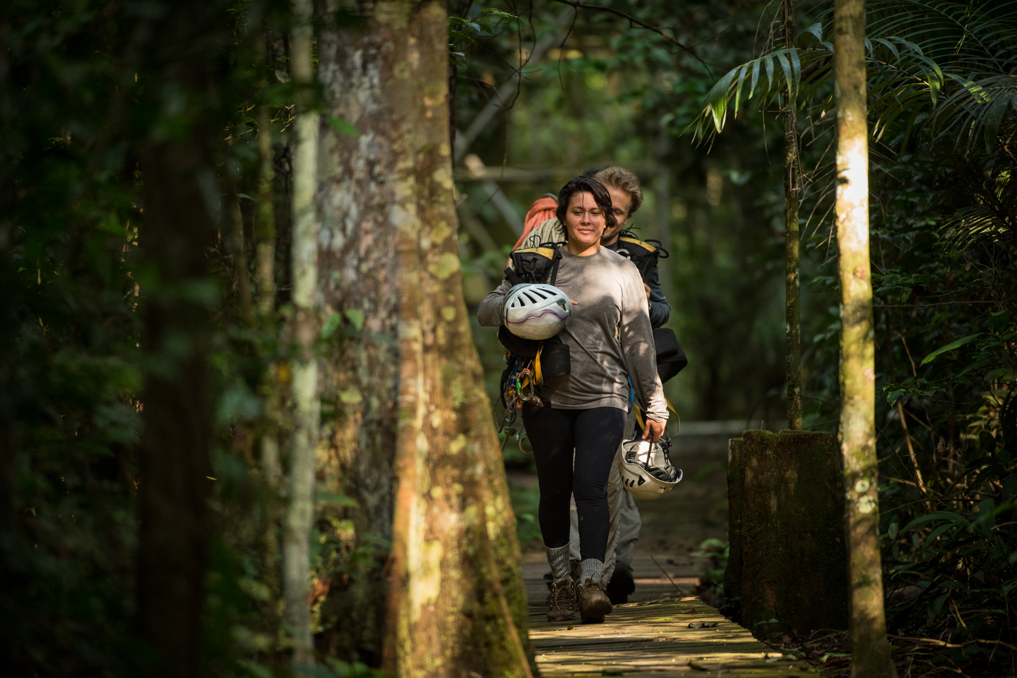 With their tree-climbing gear in hand, Deliane Penha and Neill Prohaska walk along a wooden walkway to their study site in Brazil’s Tapajós National Forest.